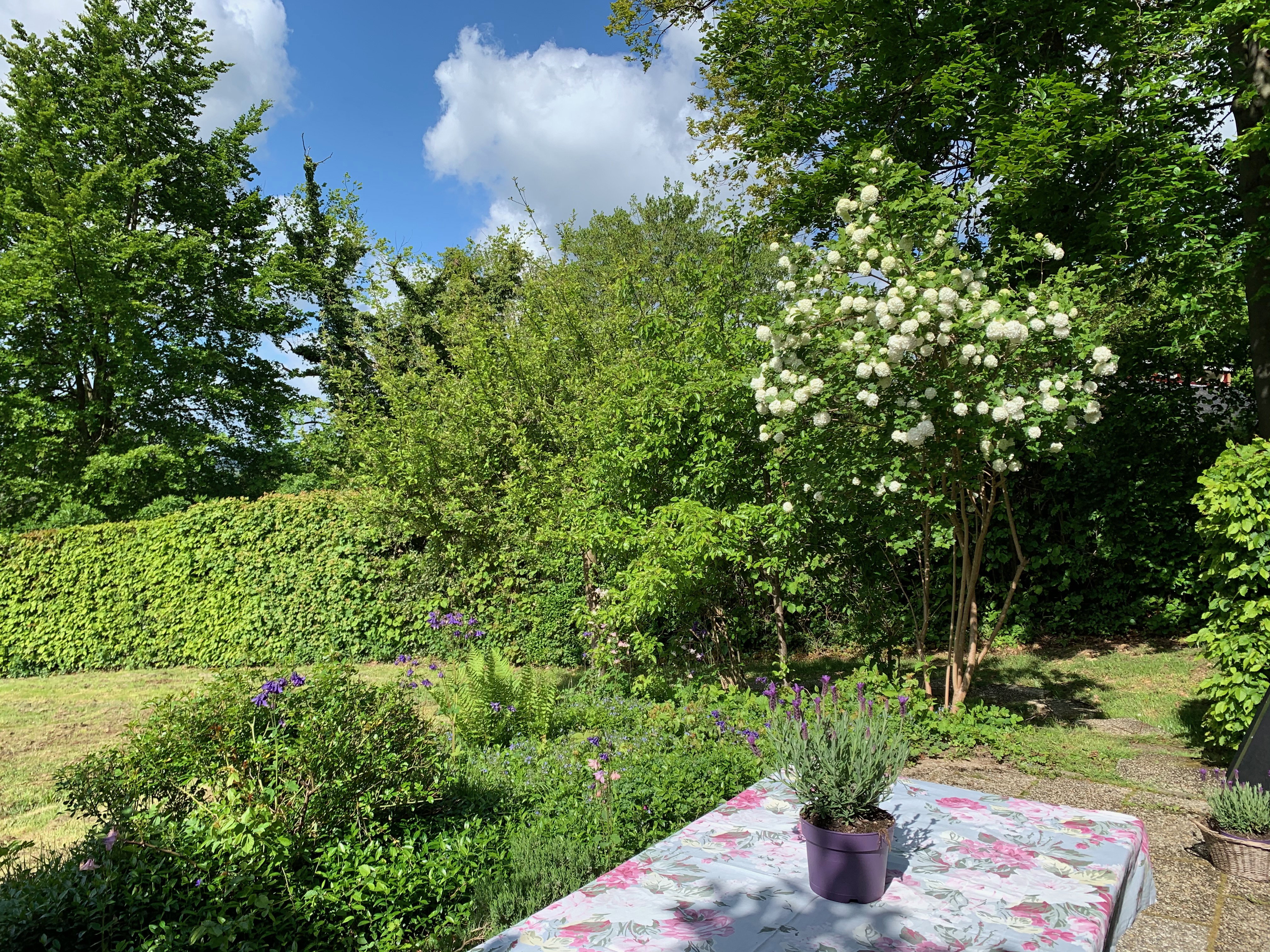 Naturhäuschen in Gemmenich