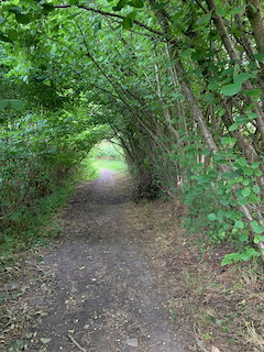 - image: 27