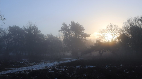 - image: 26