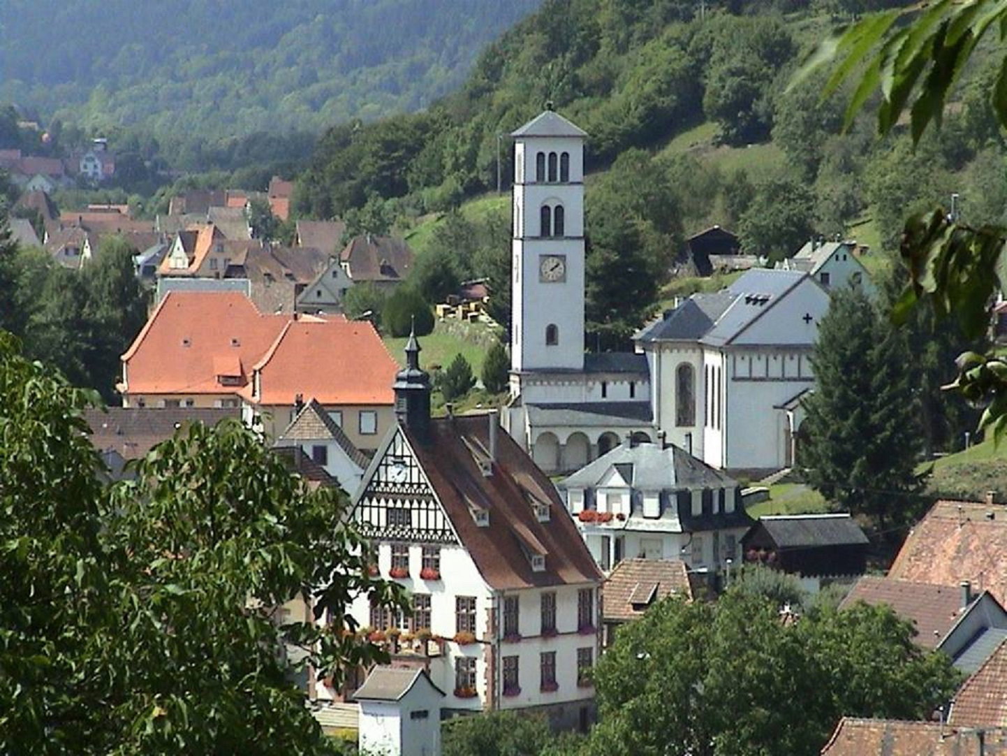 - image: 25
