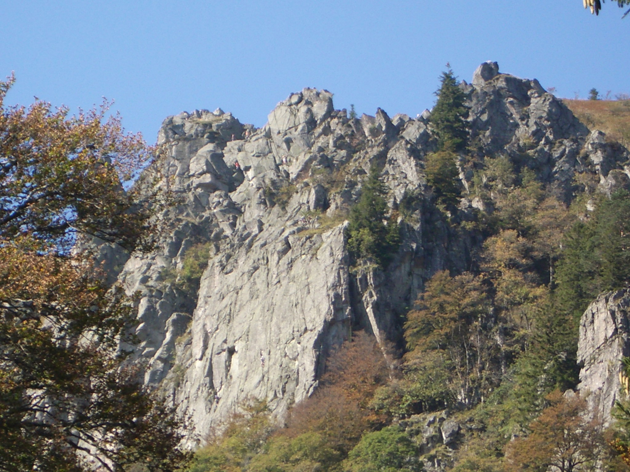 - image: 19