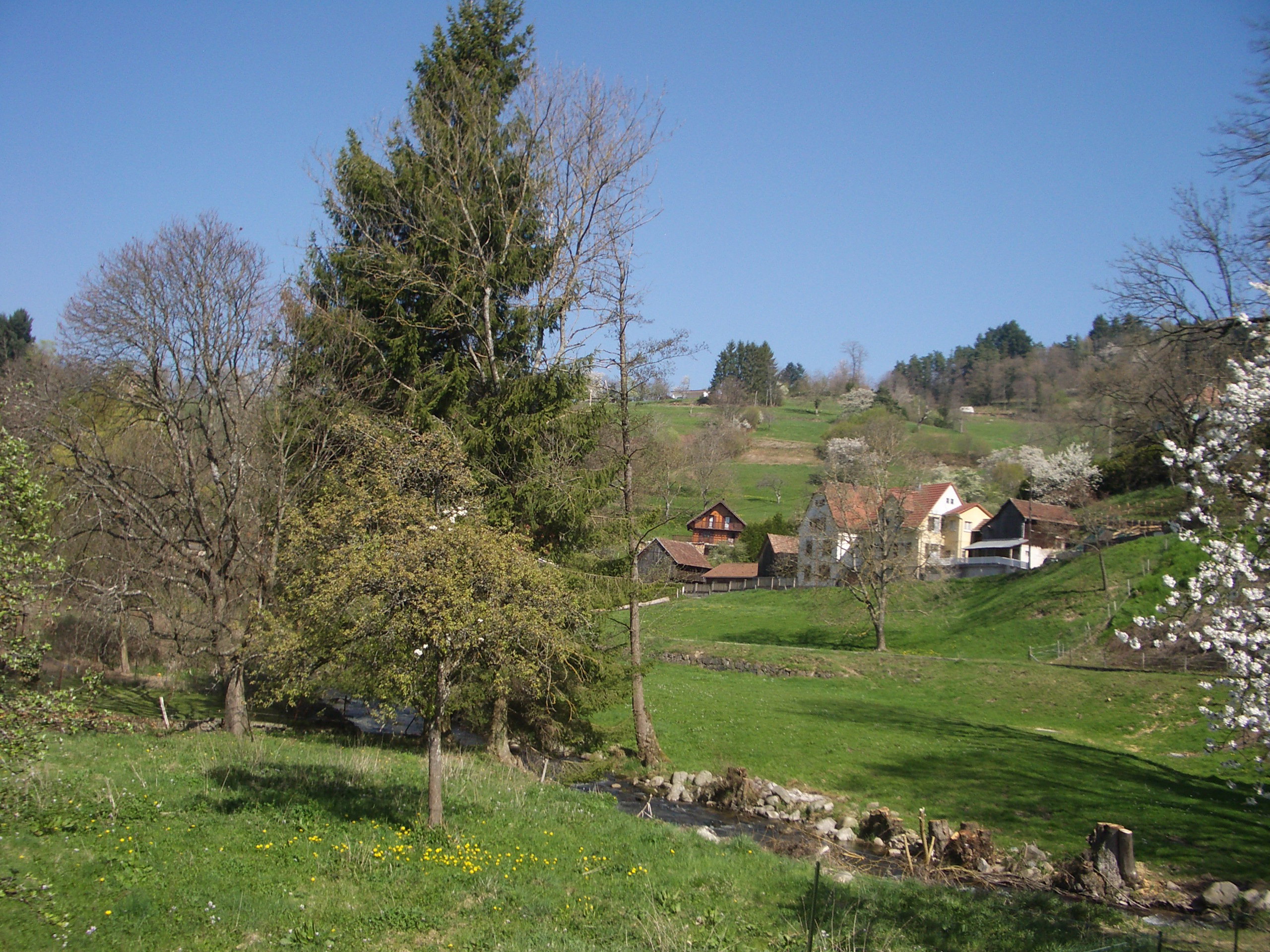 - image: 15