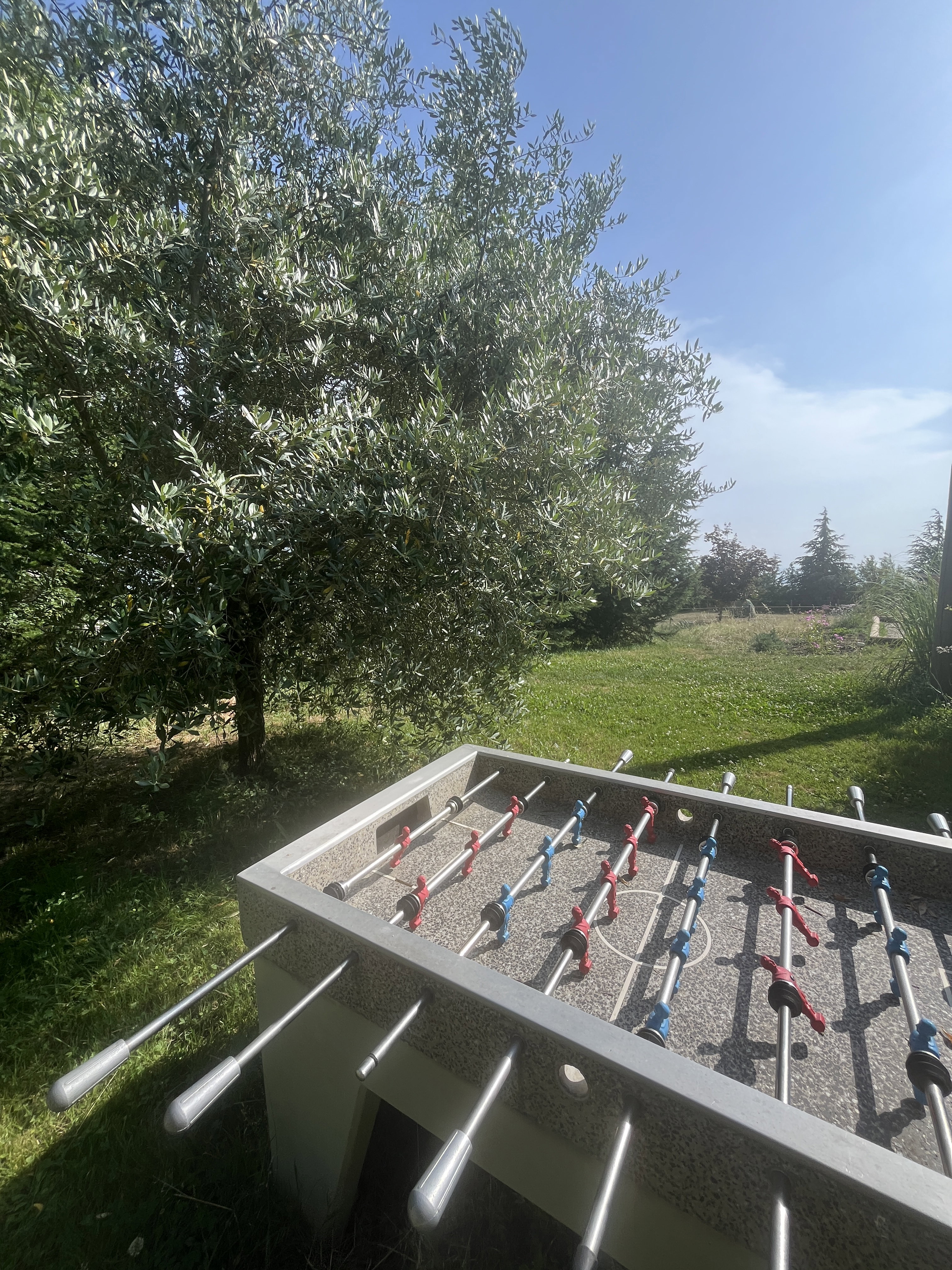 - image: 22