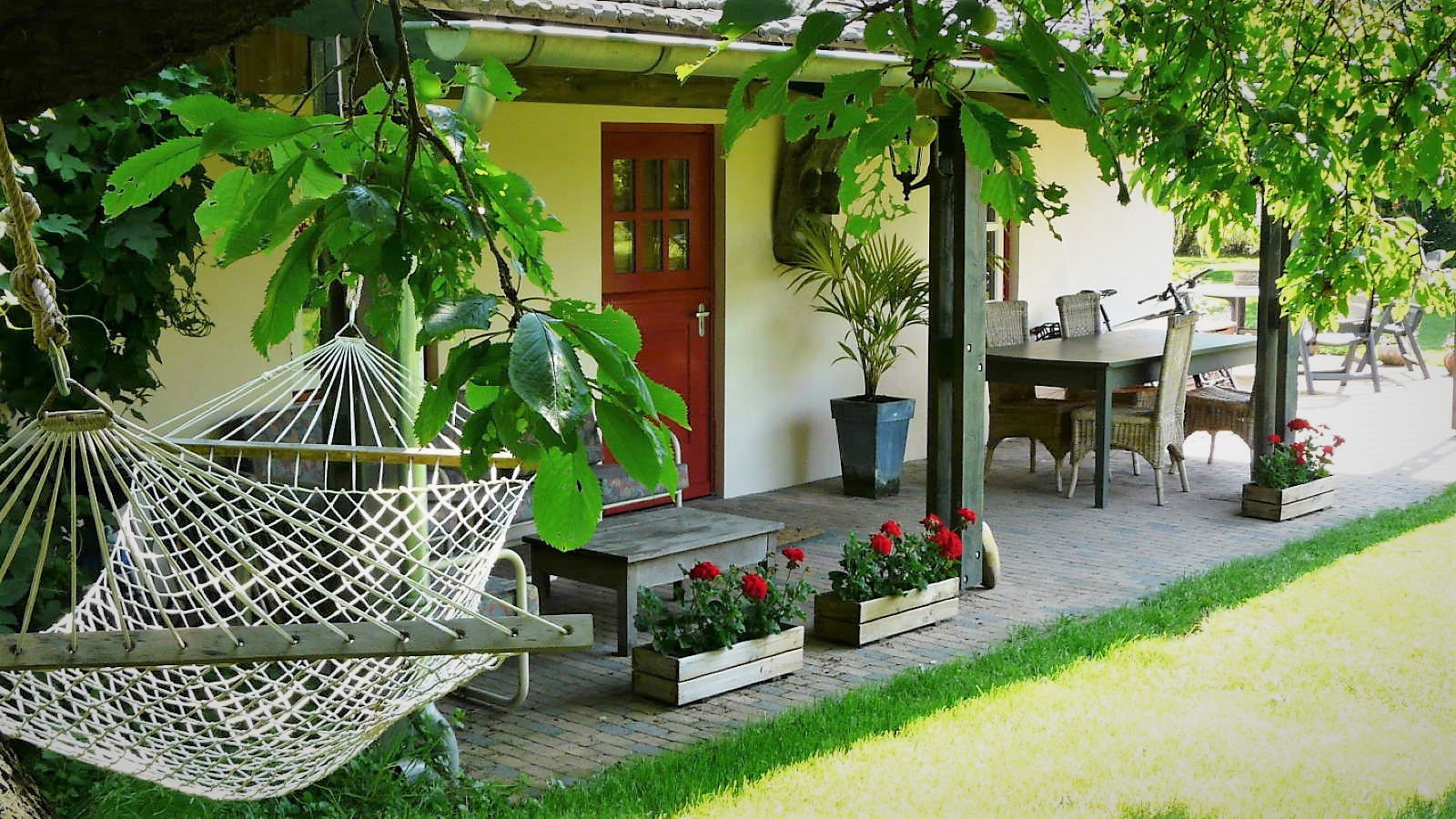 - image: 1
