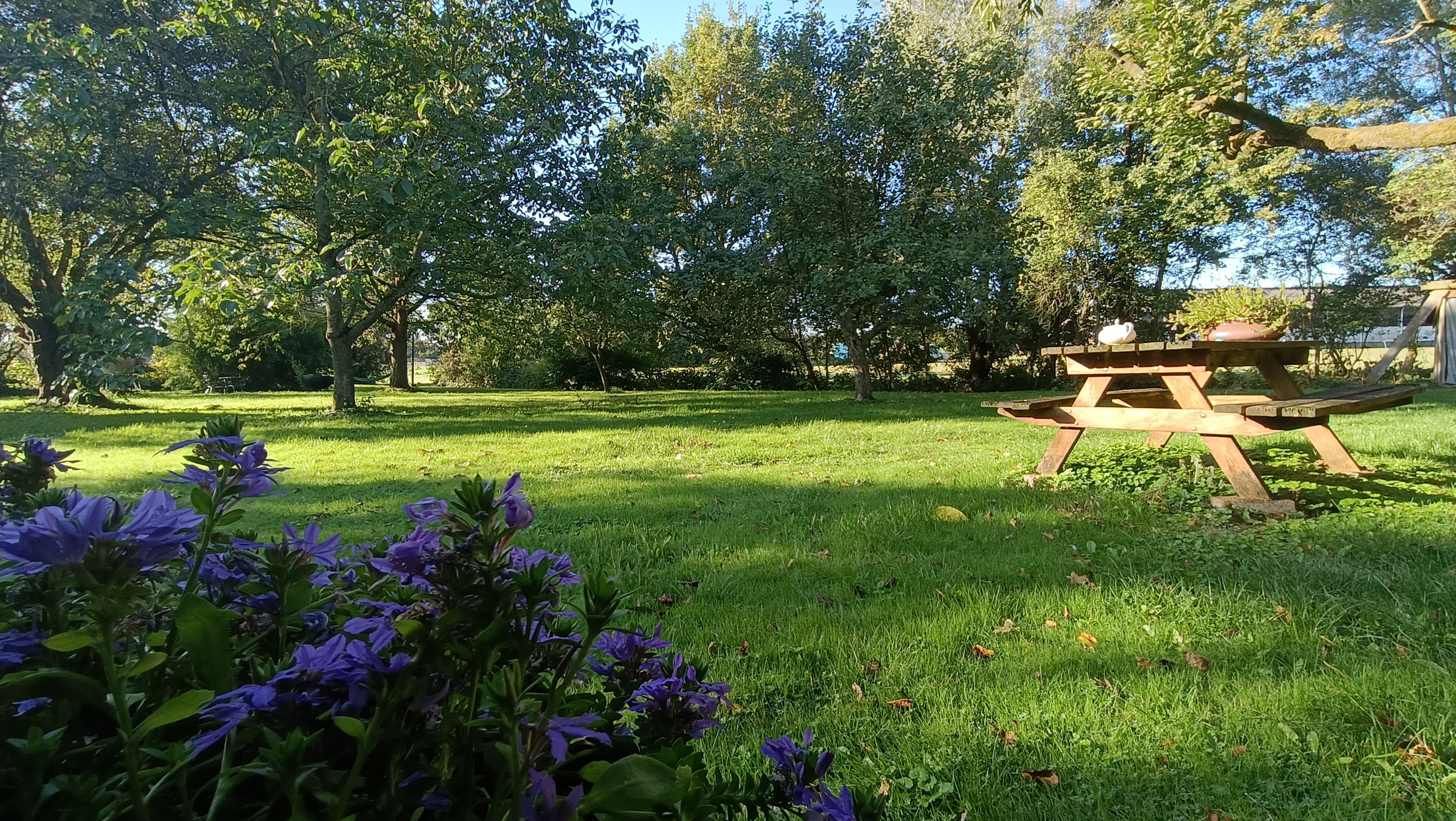 Casa nella natura a Overasselt