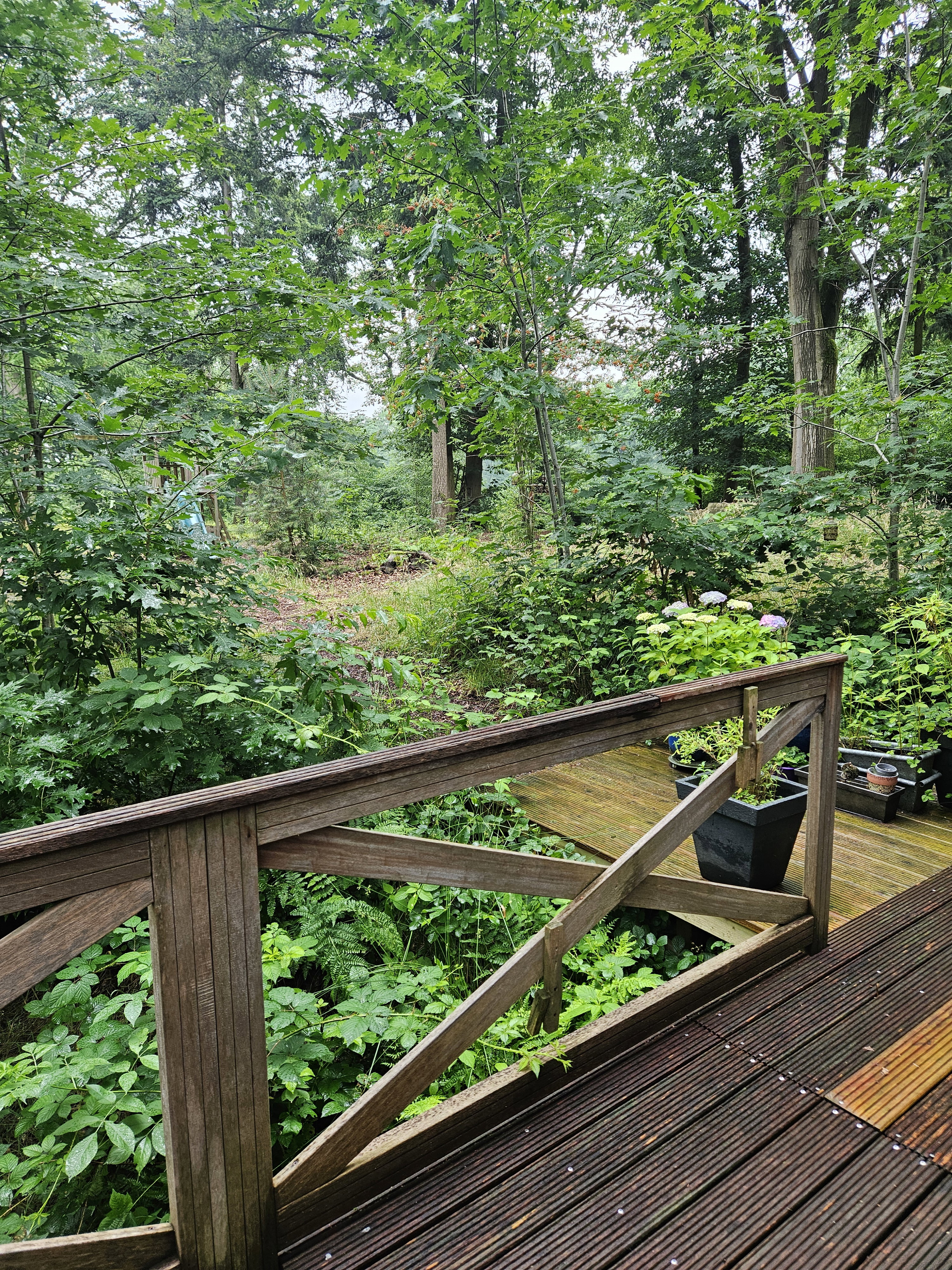 Naturhäuschen in Haaksbergen