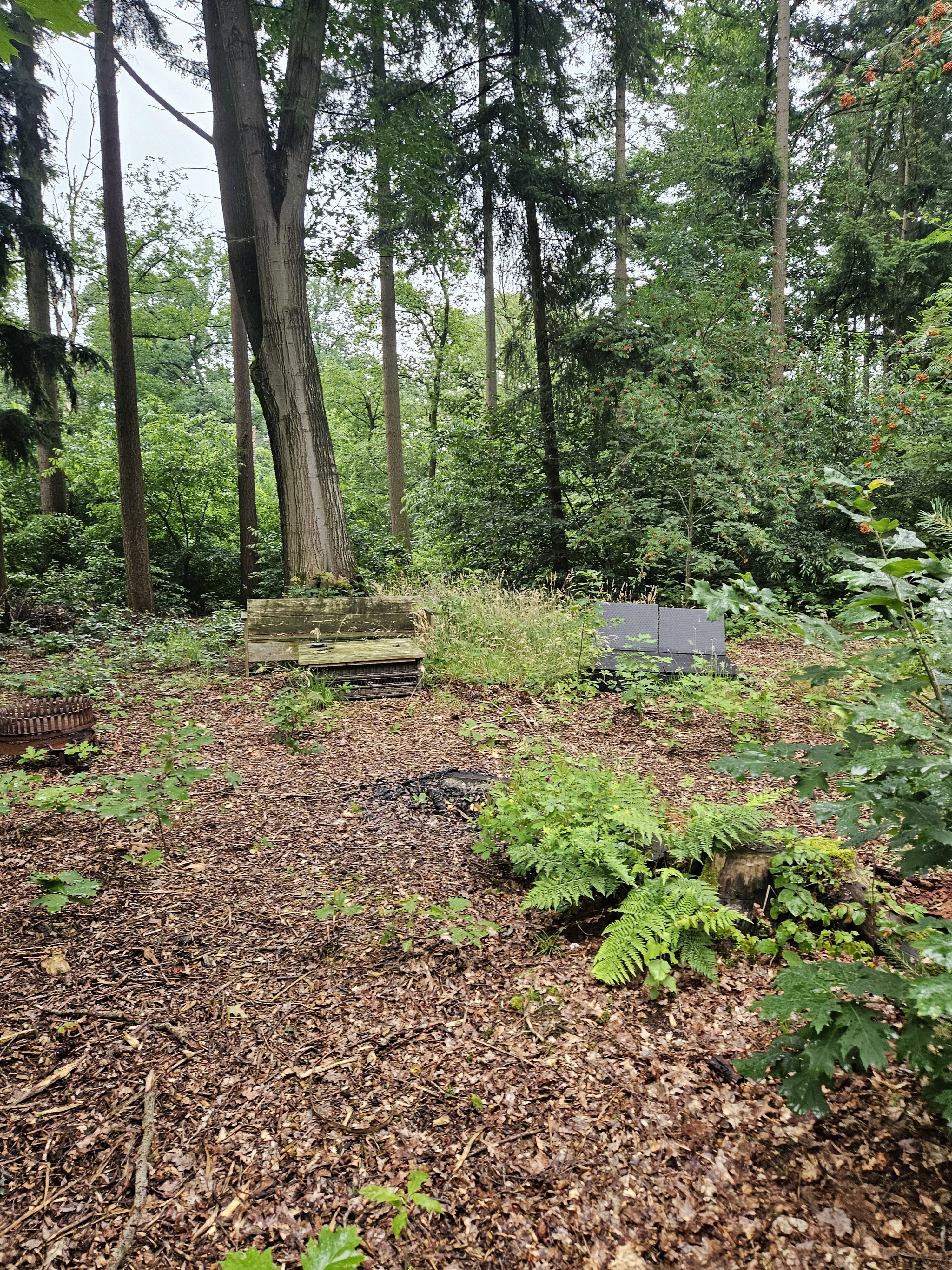 Naturhäuschen in Haaksbergen