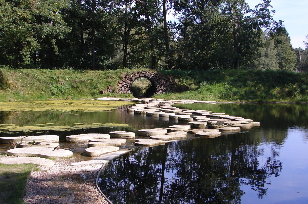 - image: 29