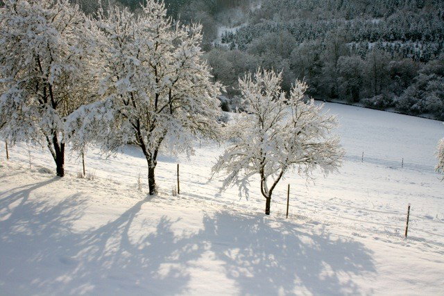 Naturhäuschen in Kopp