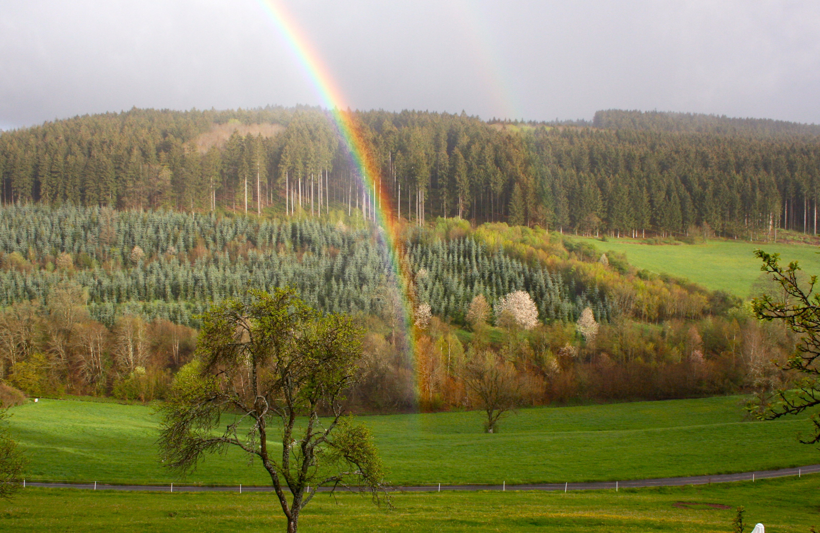 Naturhäuschen in Kopp