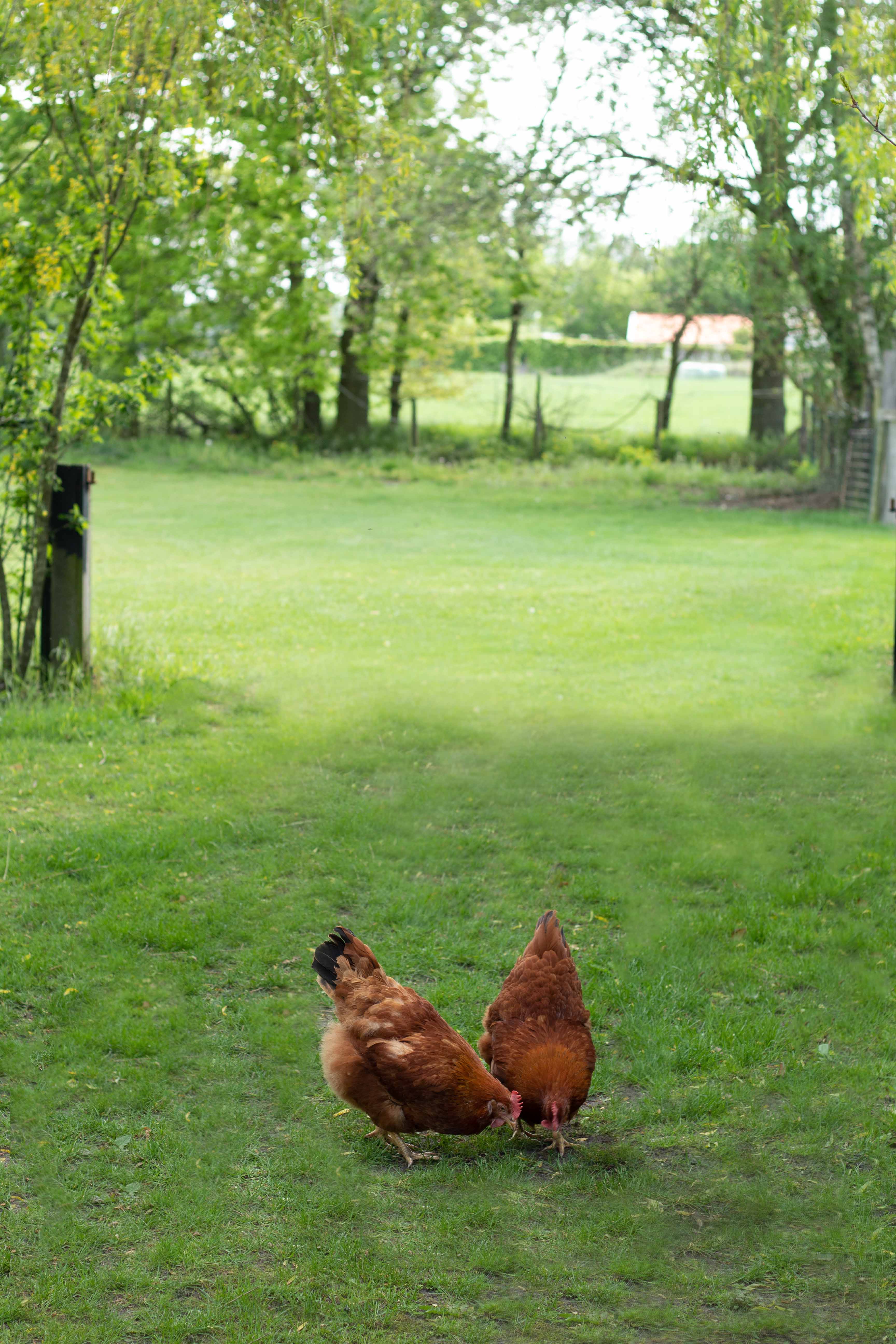 Naturhäuschen in Mierlo
