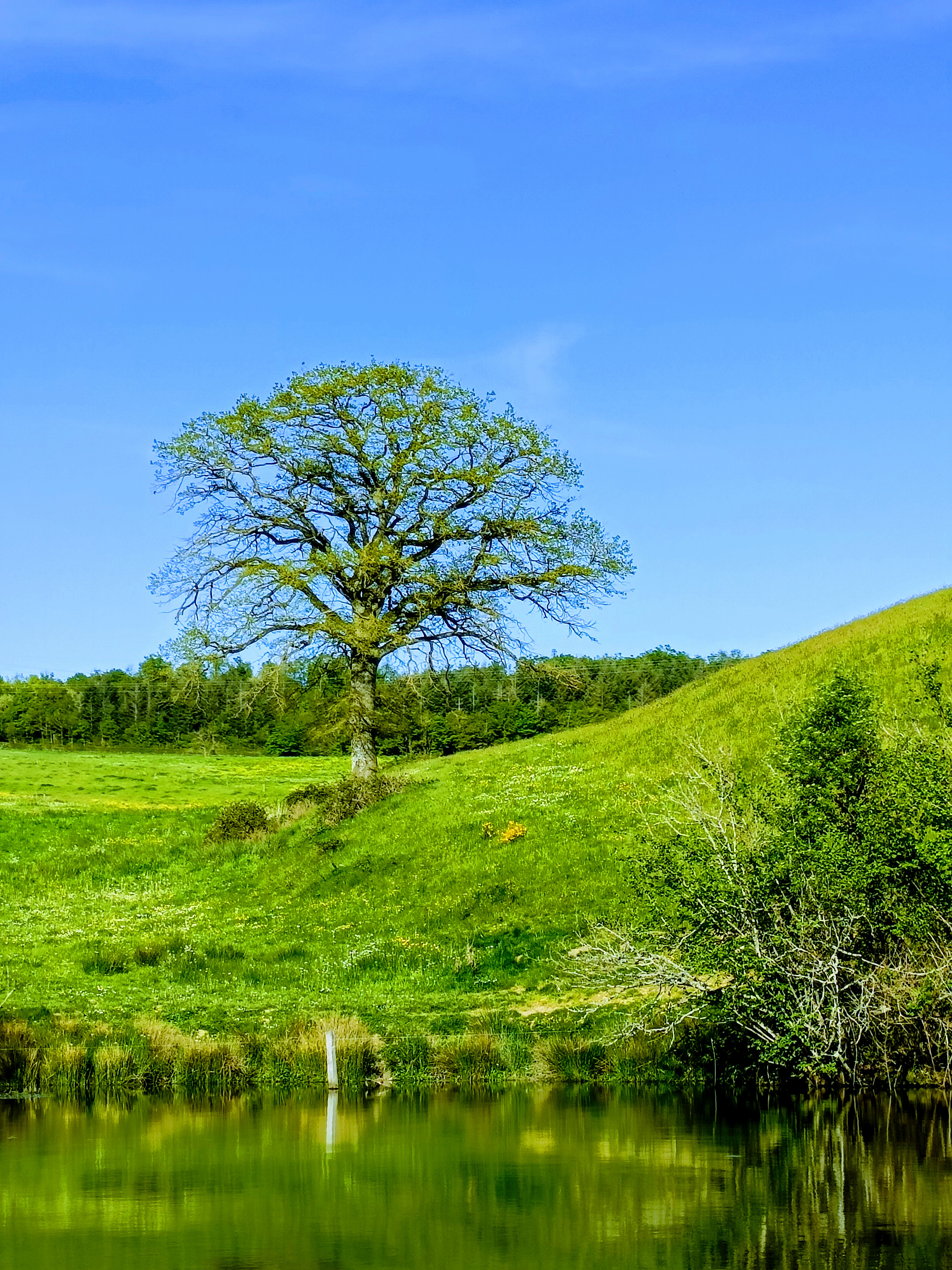 Nature house in Vendenesse sur Arroux
