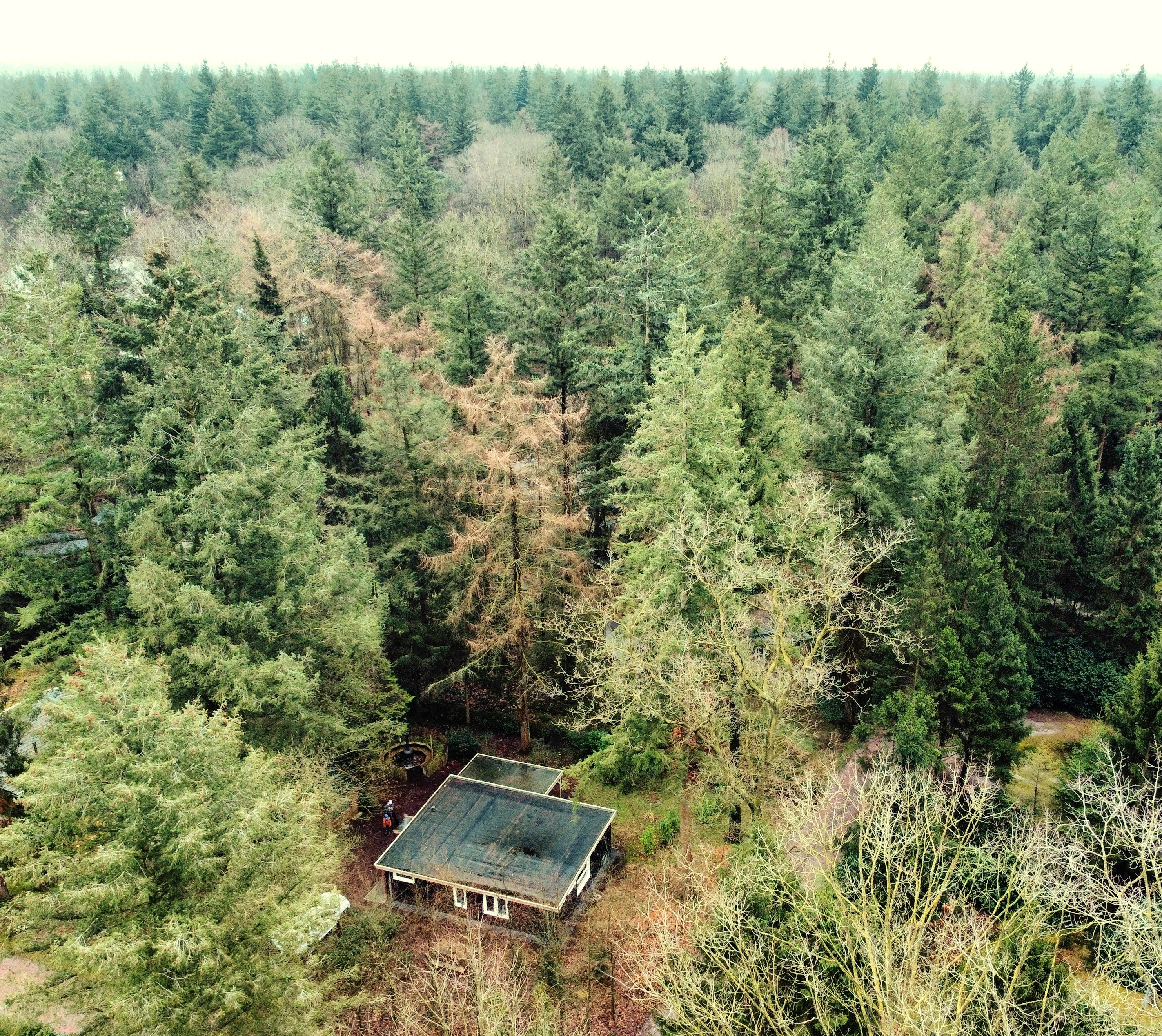 Casa nella natura a Emst