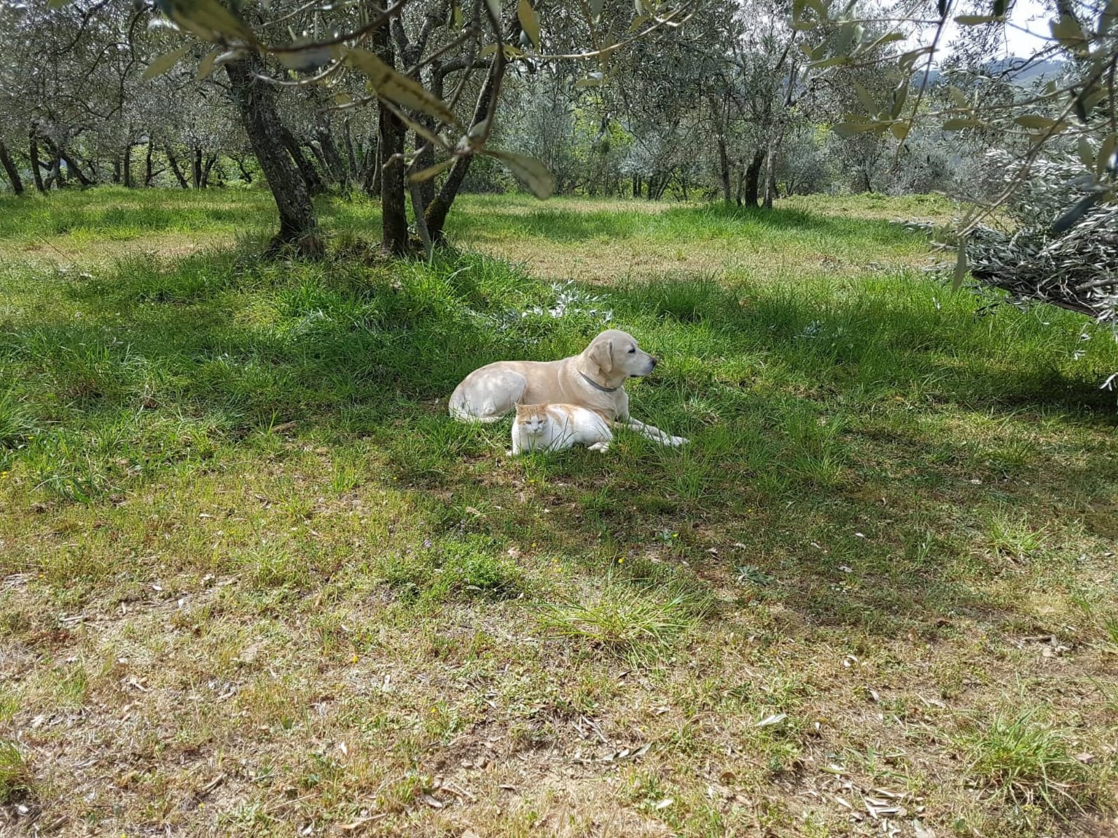 - image: 15