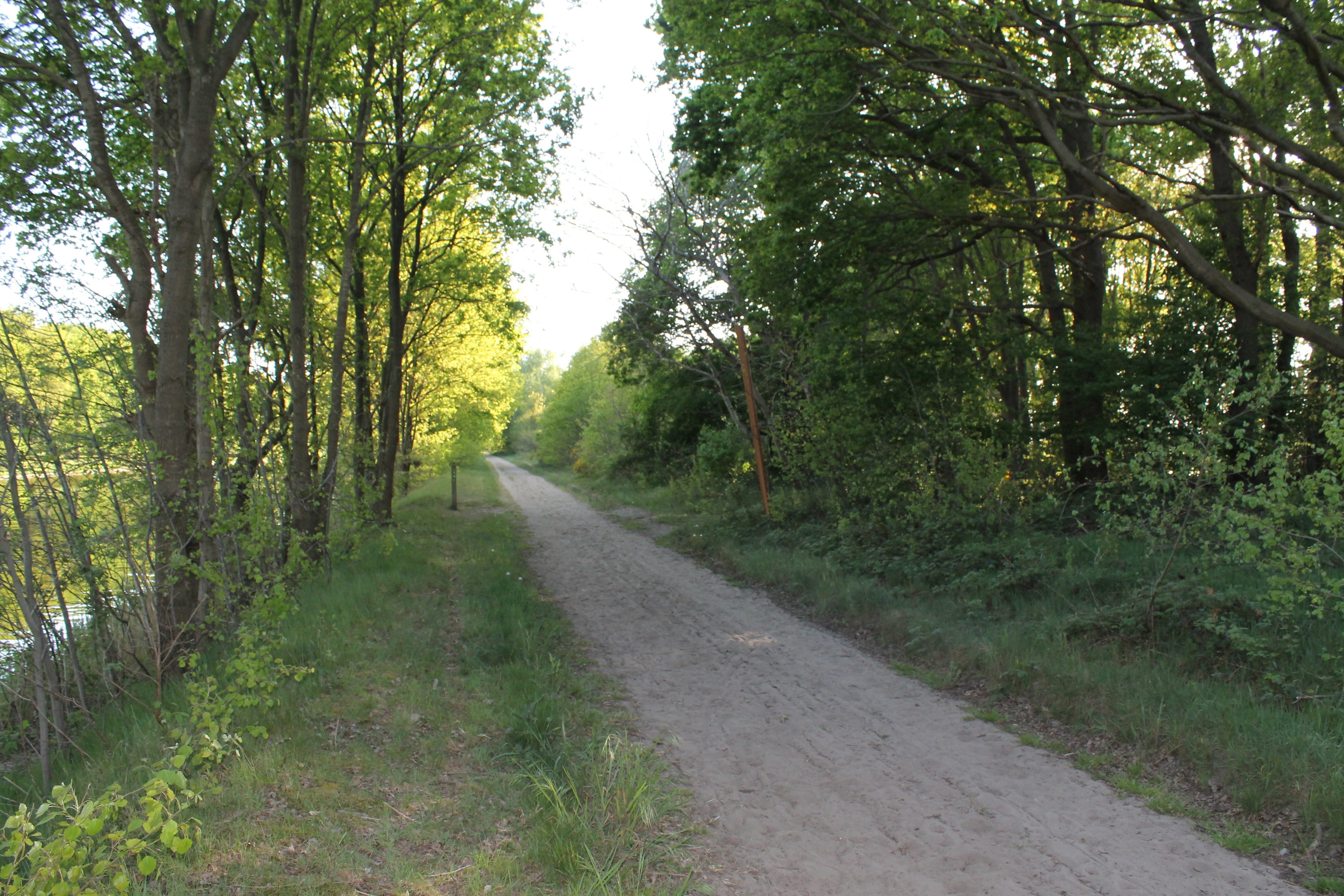 Maison nature à Terheijden