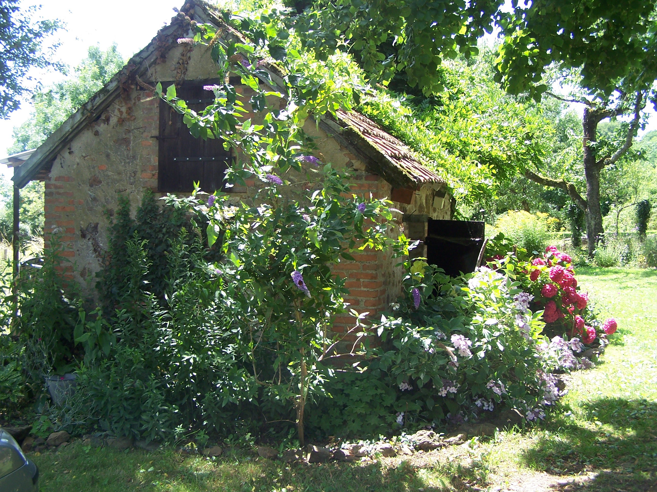 - image: 13