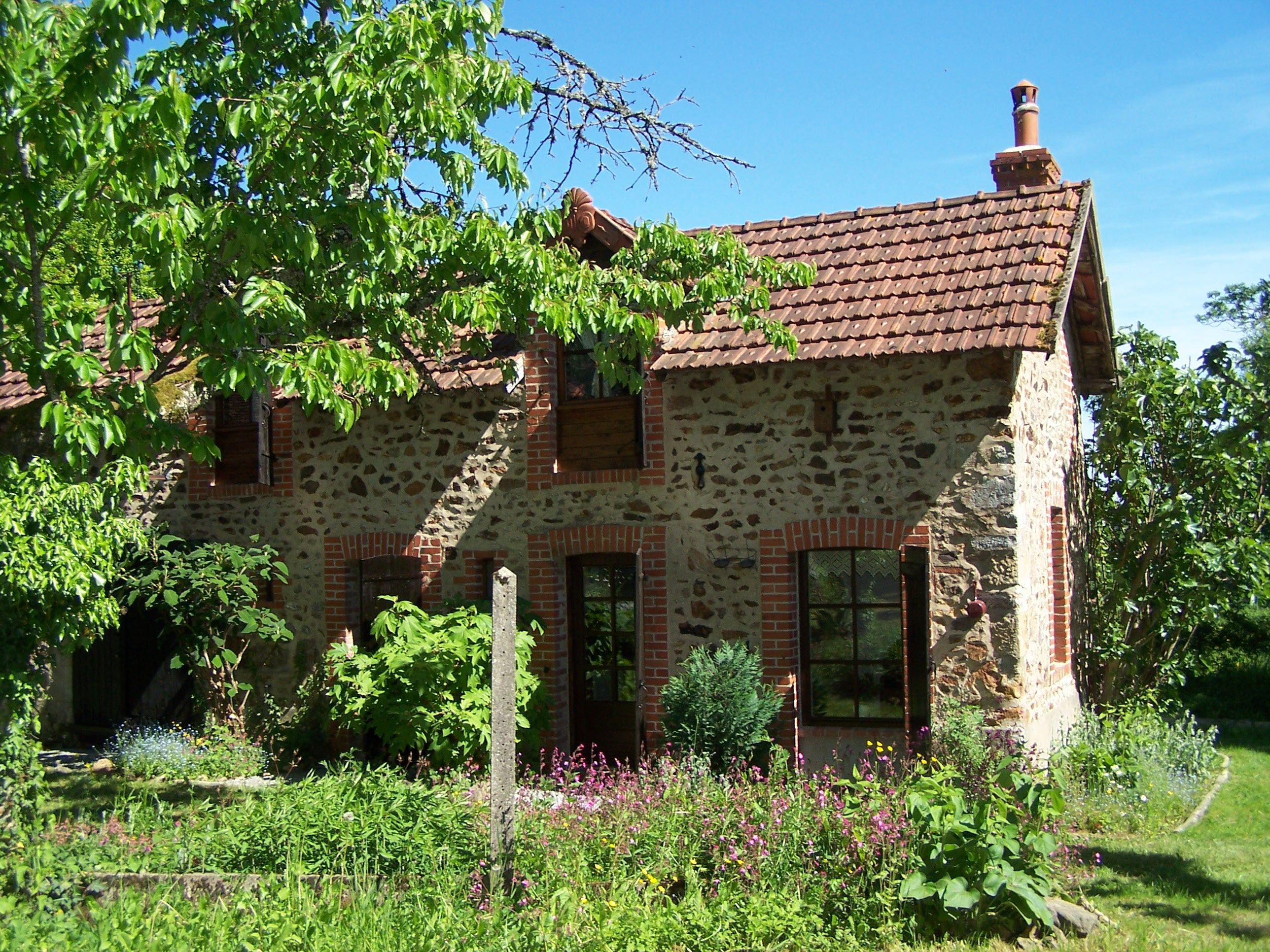 - image: 1