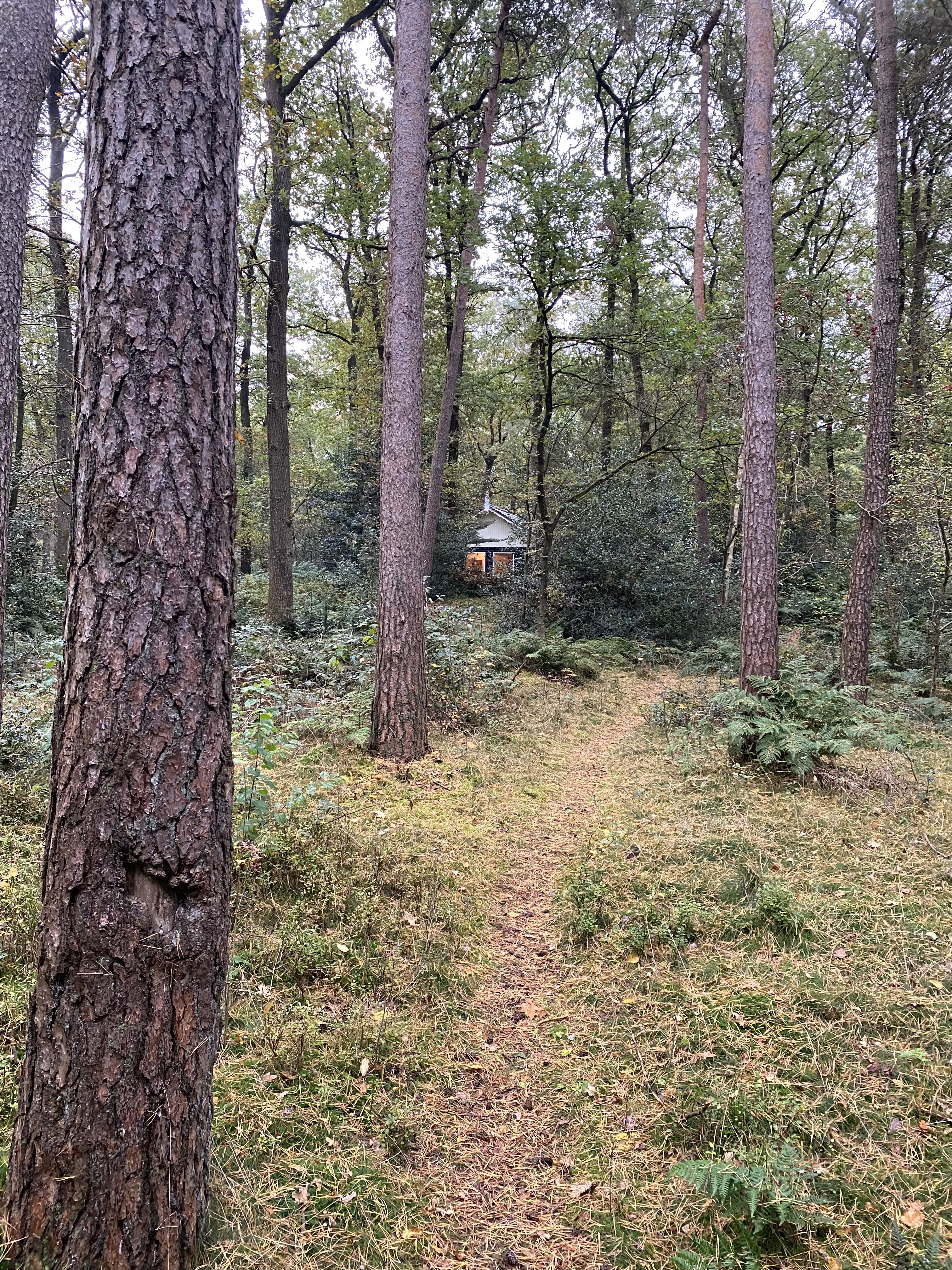 Naturhäuschen in Norg