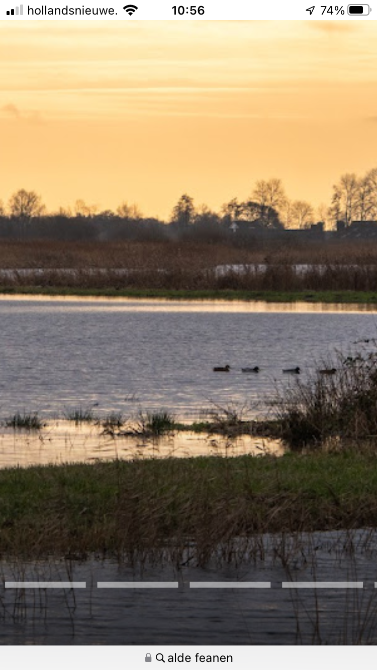 Natuurhuisje in Nes/. (Akkrum)