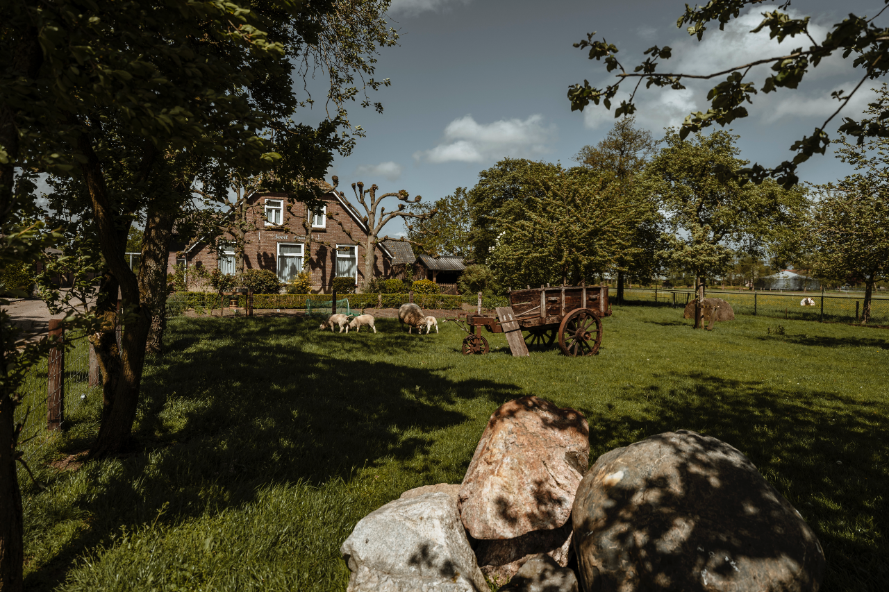 Natuurhuisje in Harskamp