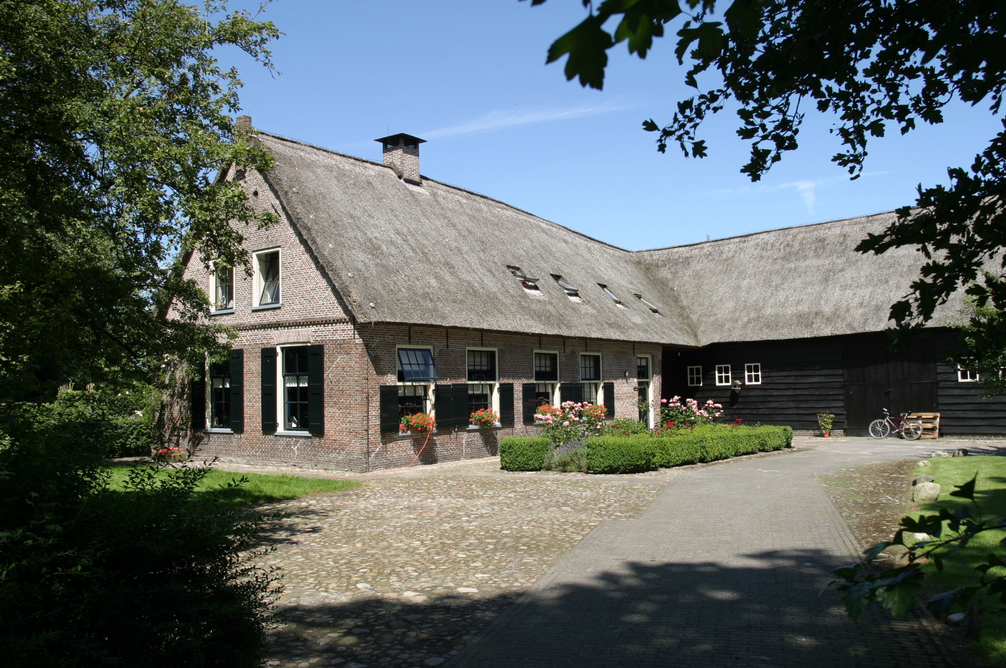 - image: 22