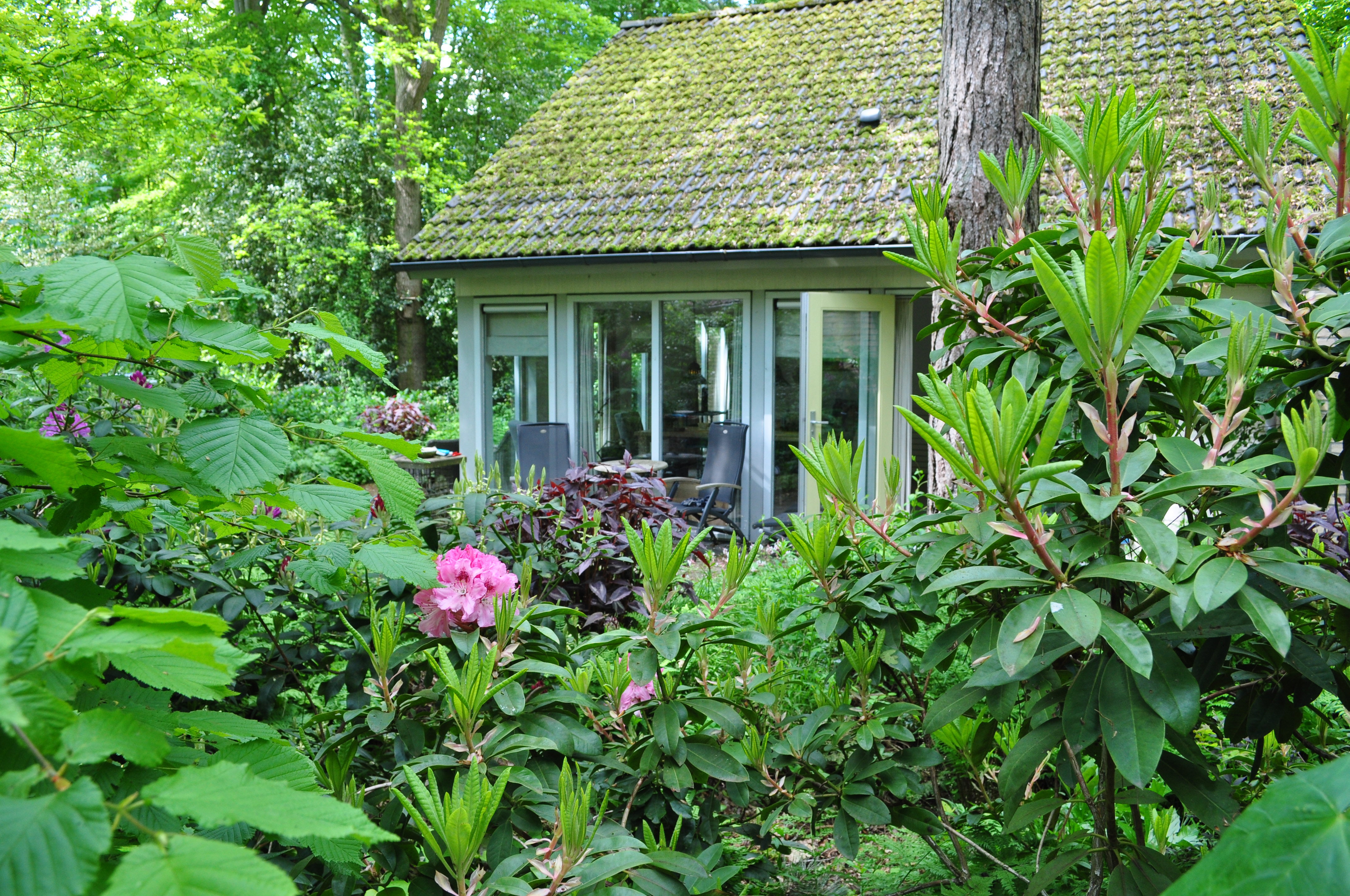 Maison nature à Oudemirdum