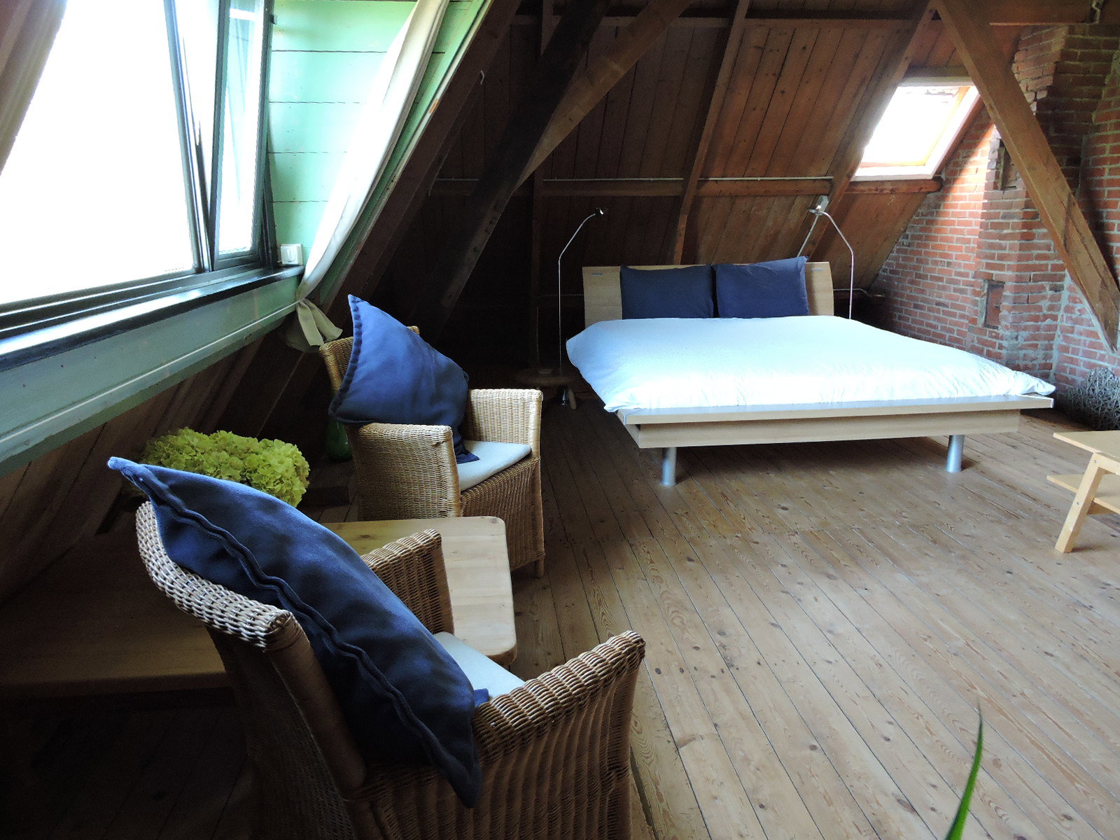 - image: 16