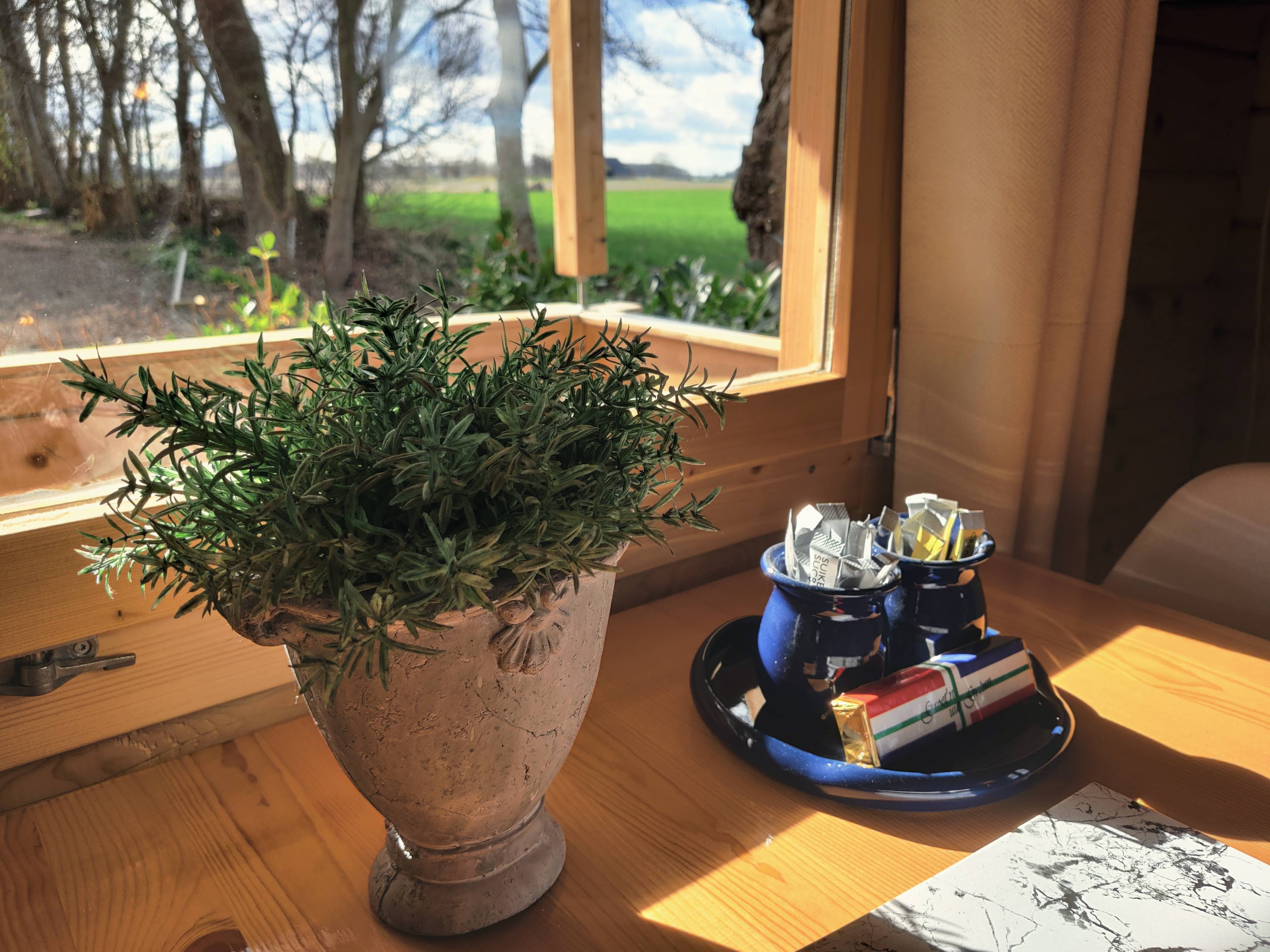 Maison nature à Zeerijp