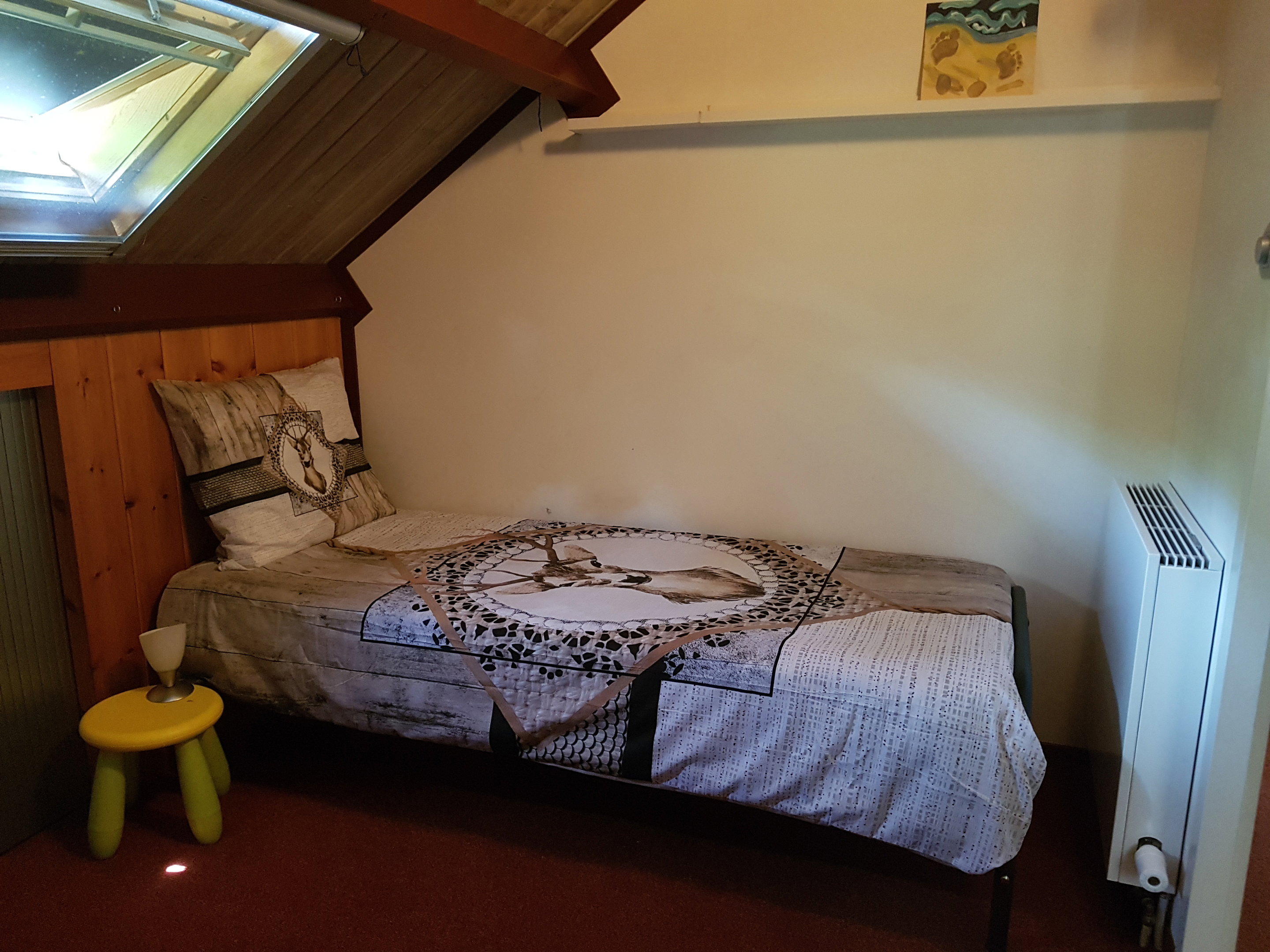 - image: 12