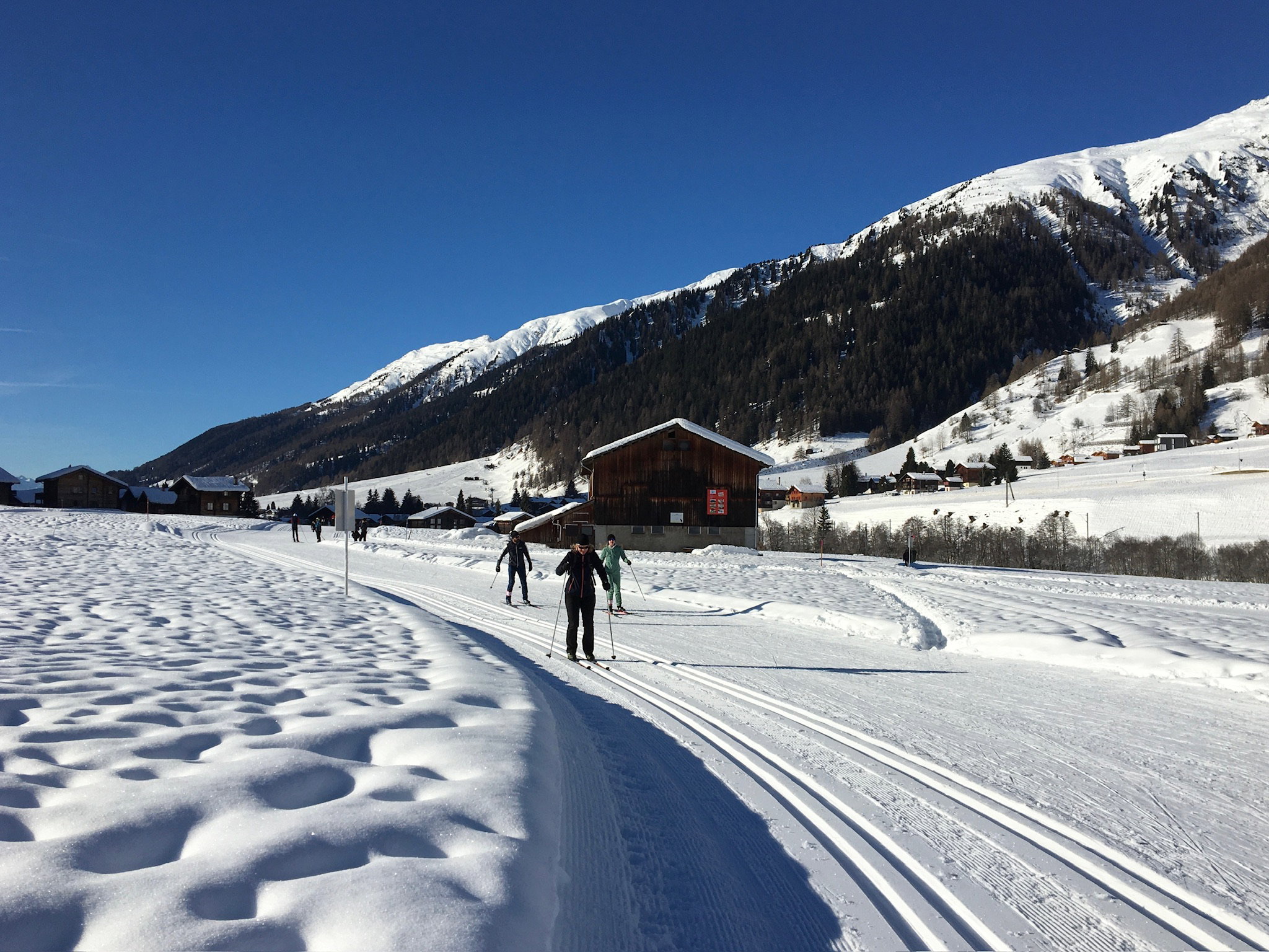 - image: 45