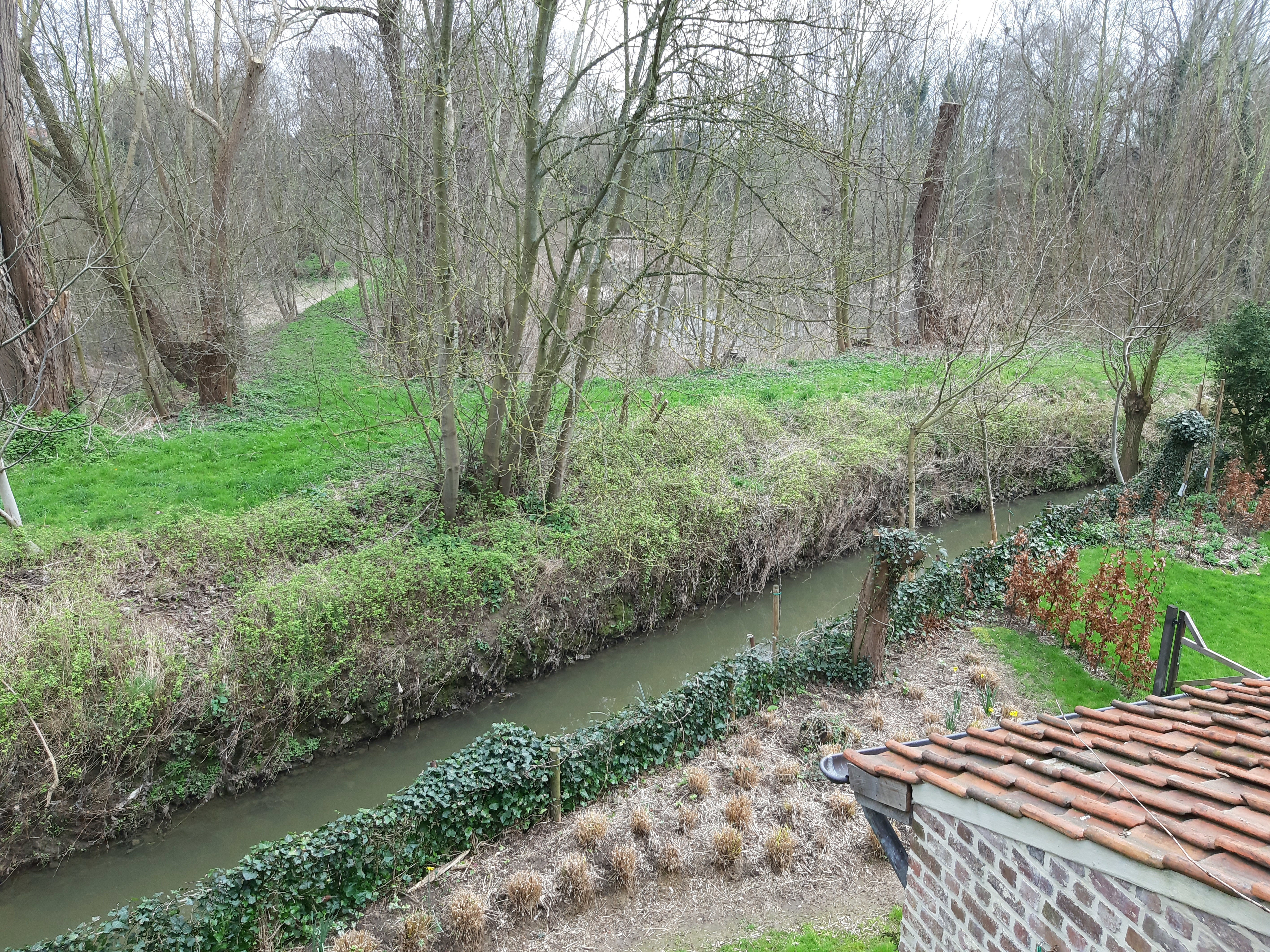 Maison nature à Grimbergen