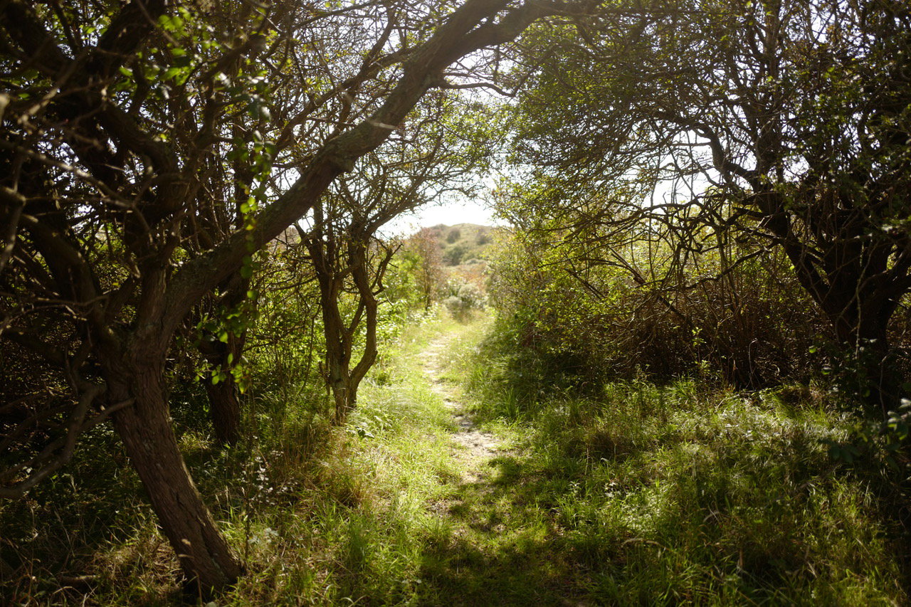 - image: 11