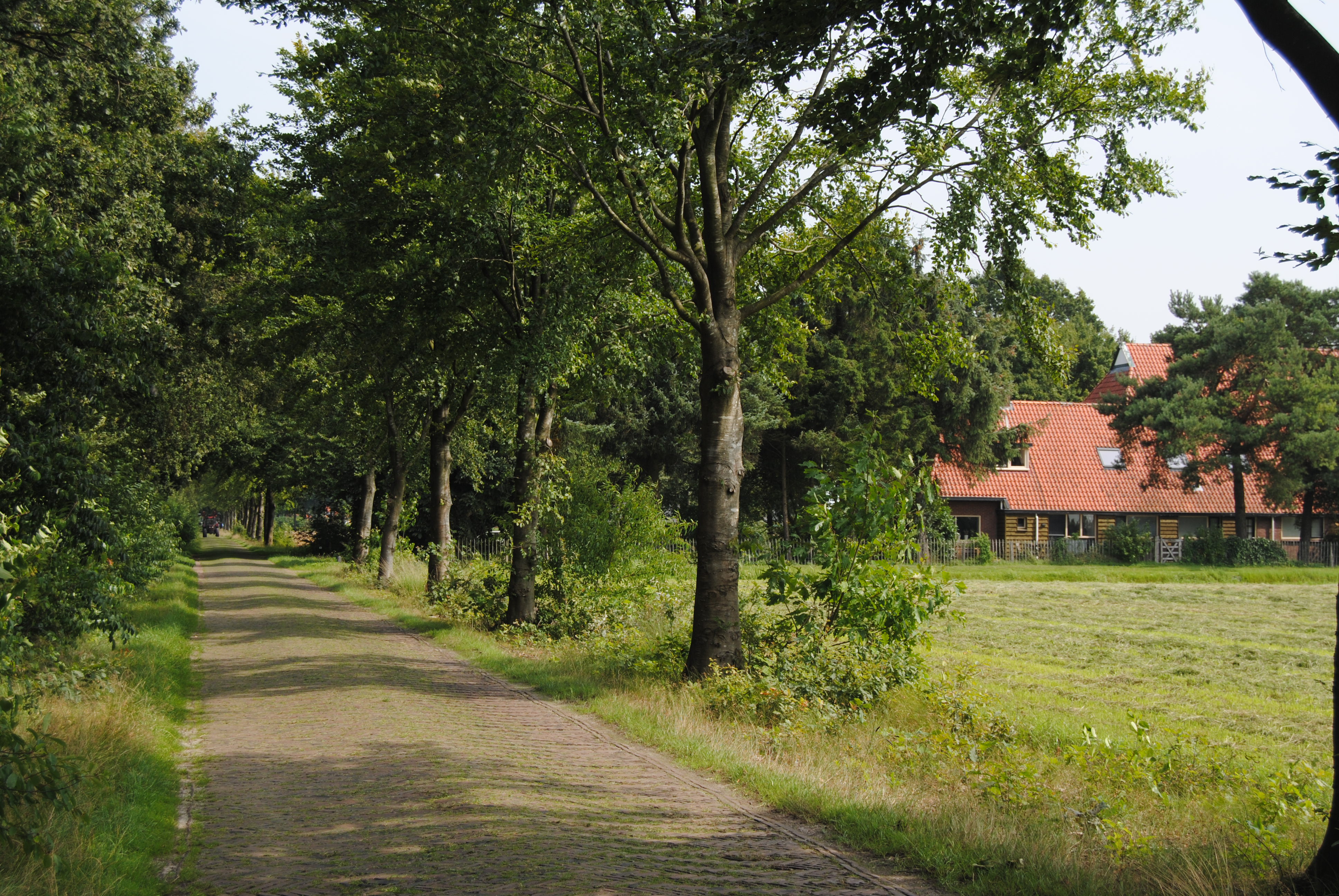 Natuurhuisje in Appelscha (Oude Willem)