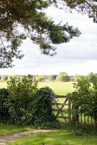 Natuurhuisje in Appelscha (Oude Willem)
