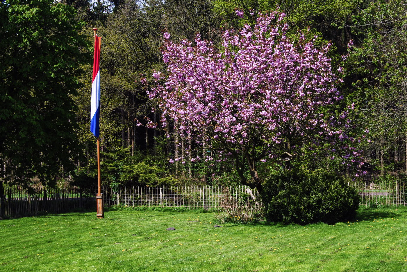 Natuurhuisje in Appelscha (Oude Willem)