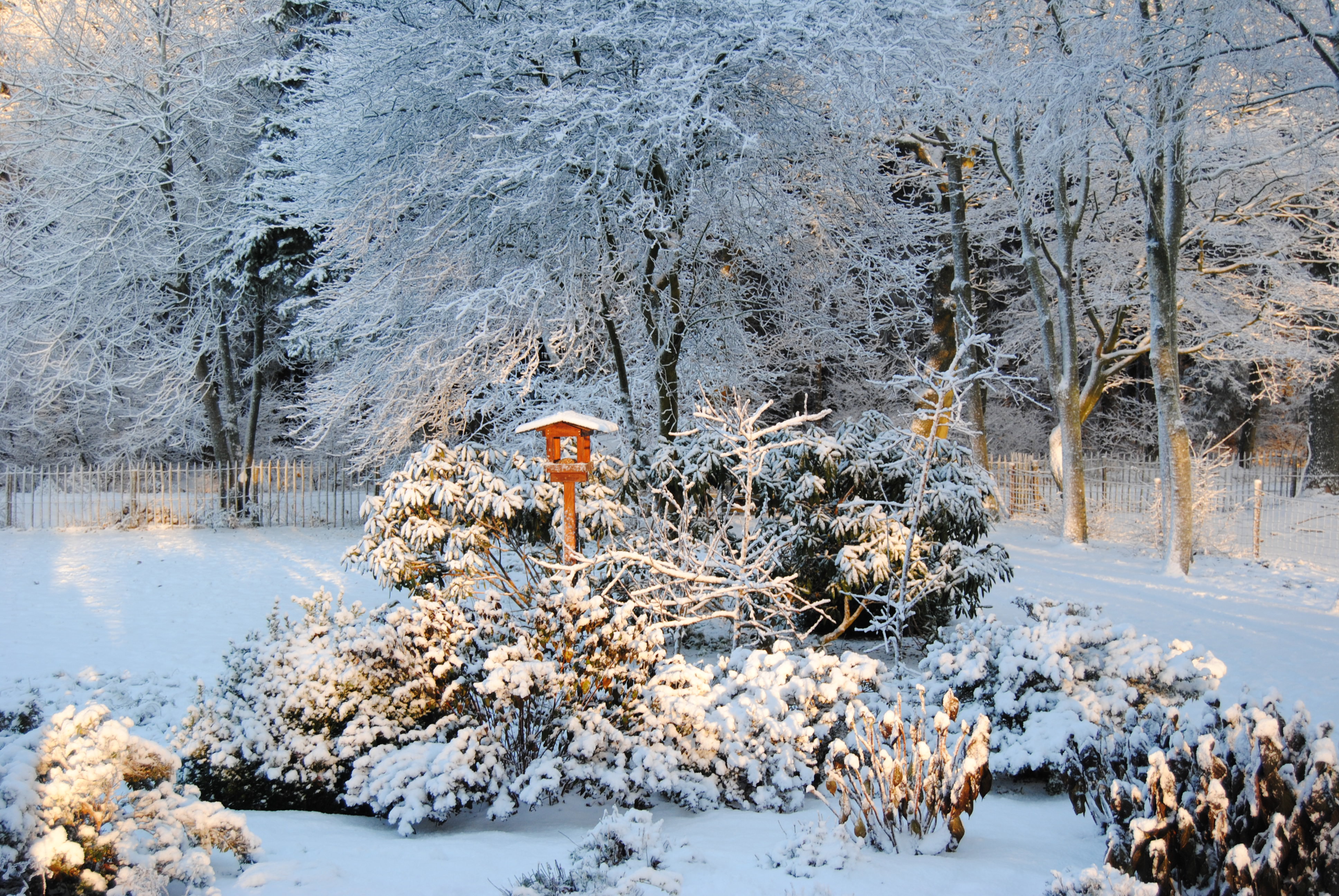 Natuurhuisje in Appelscha (Oude Willem)