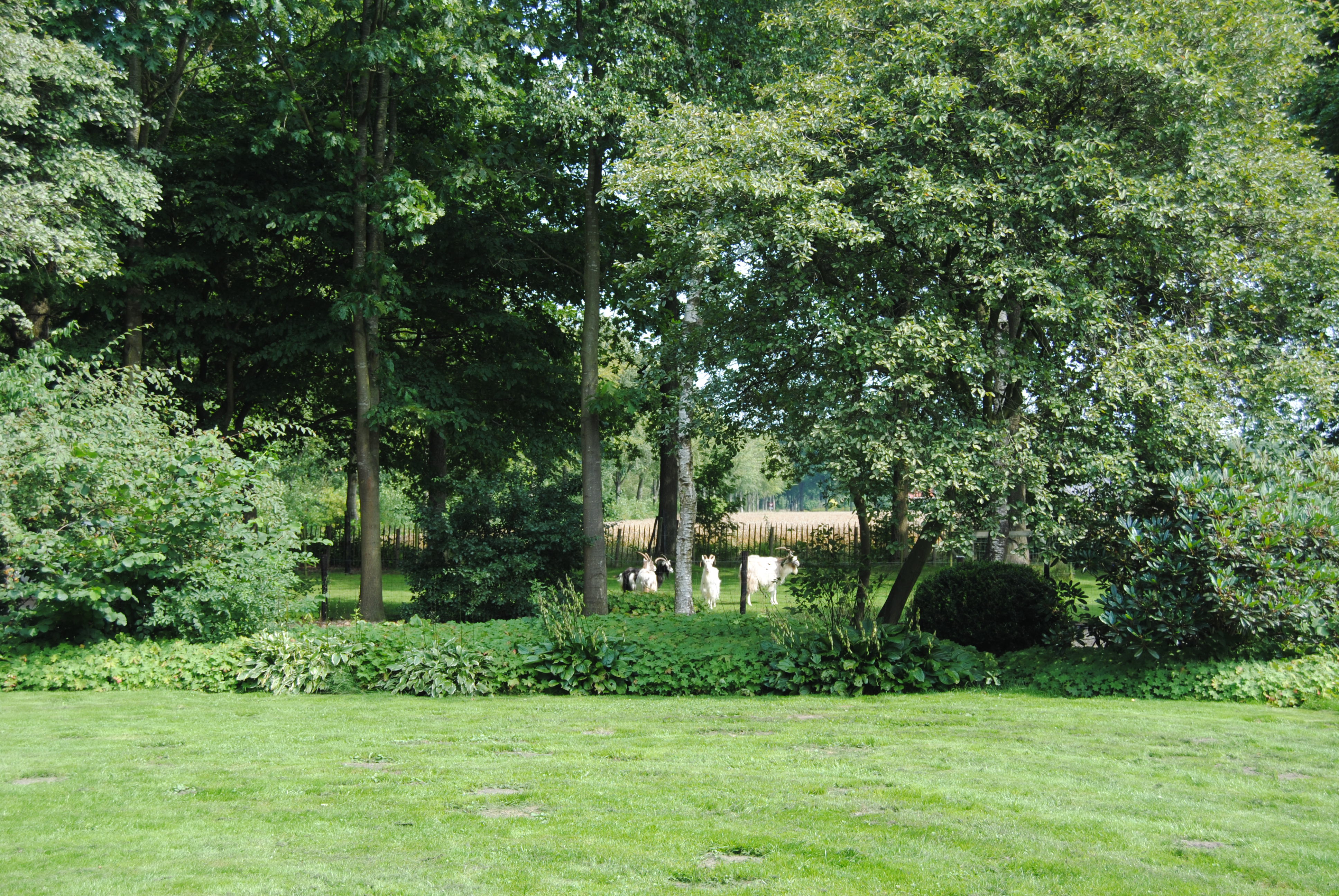 Natuurhuisje in Appelscha (Oude Willem)