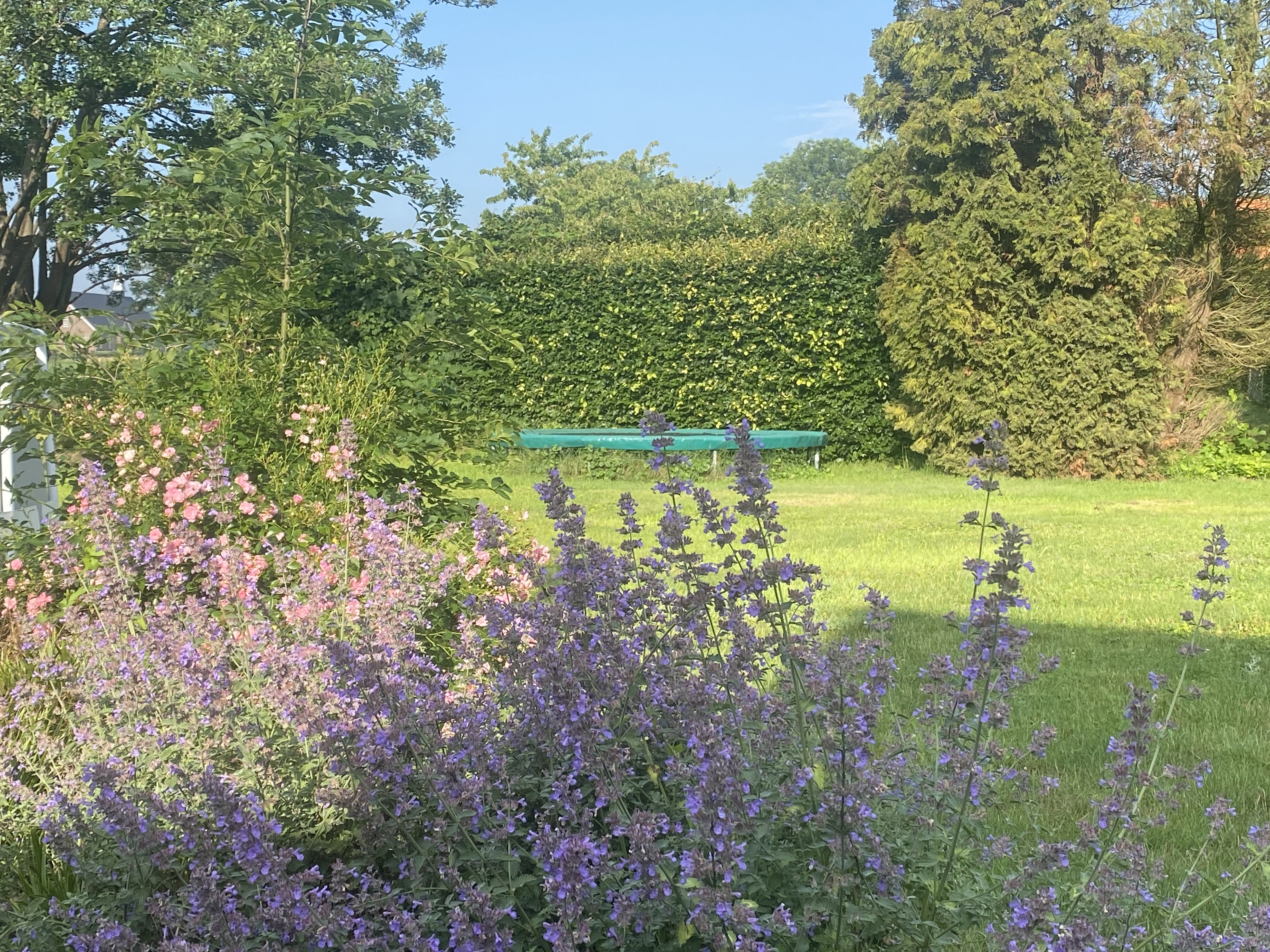Maison nature à Rhenen