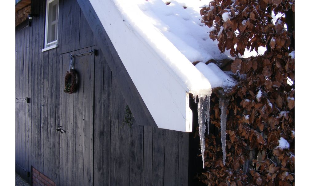 Maison nature à Winterswijk