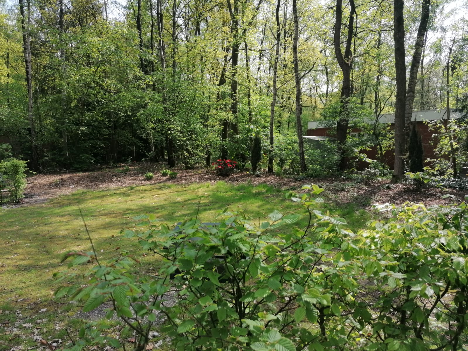 Naturhäuschen in Schoonoord
