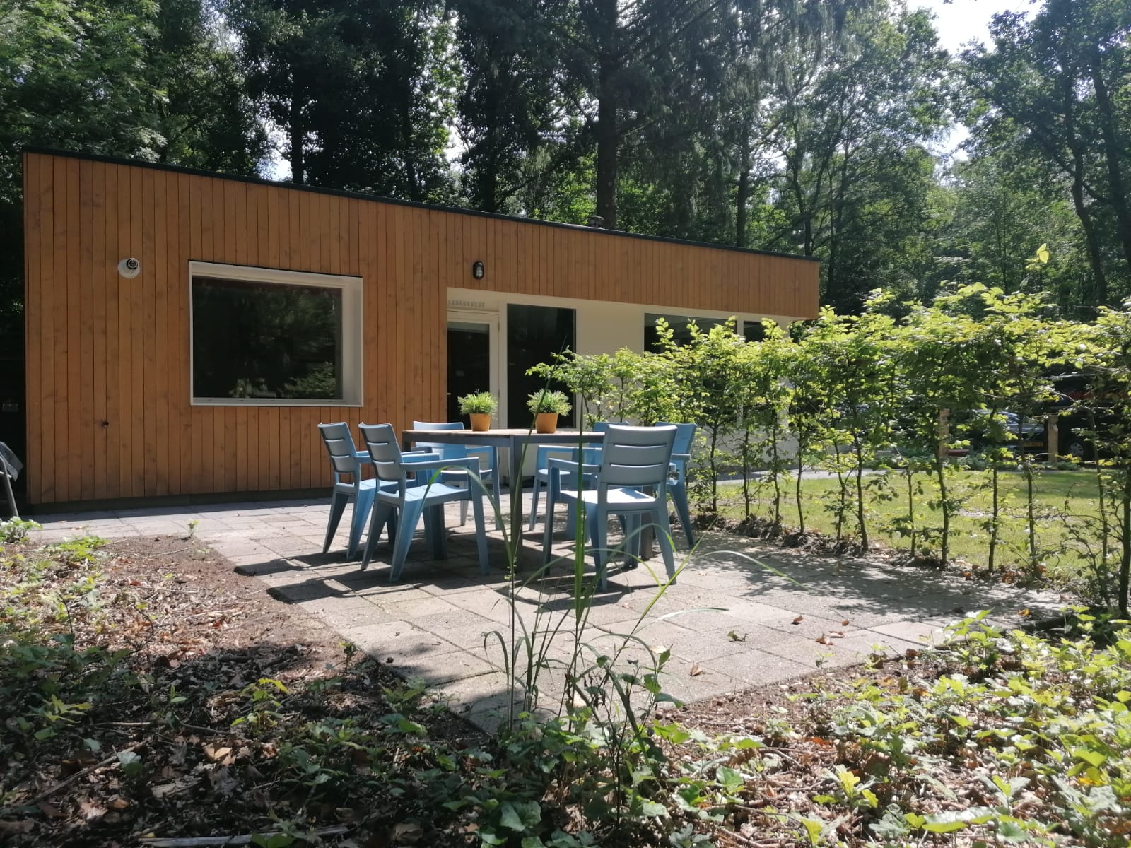 Naturhäuschen in Schoonoord