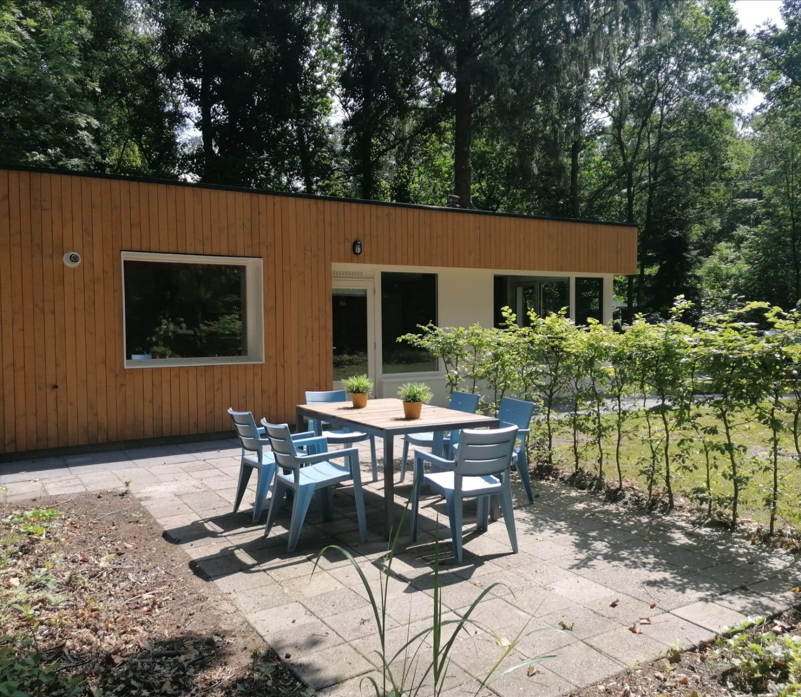 Naturhäuschen in Schoonoord