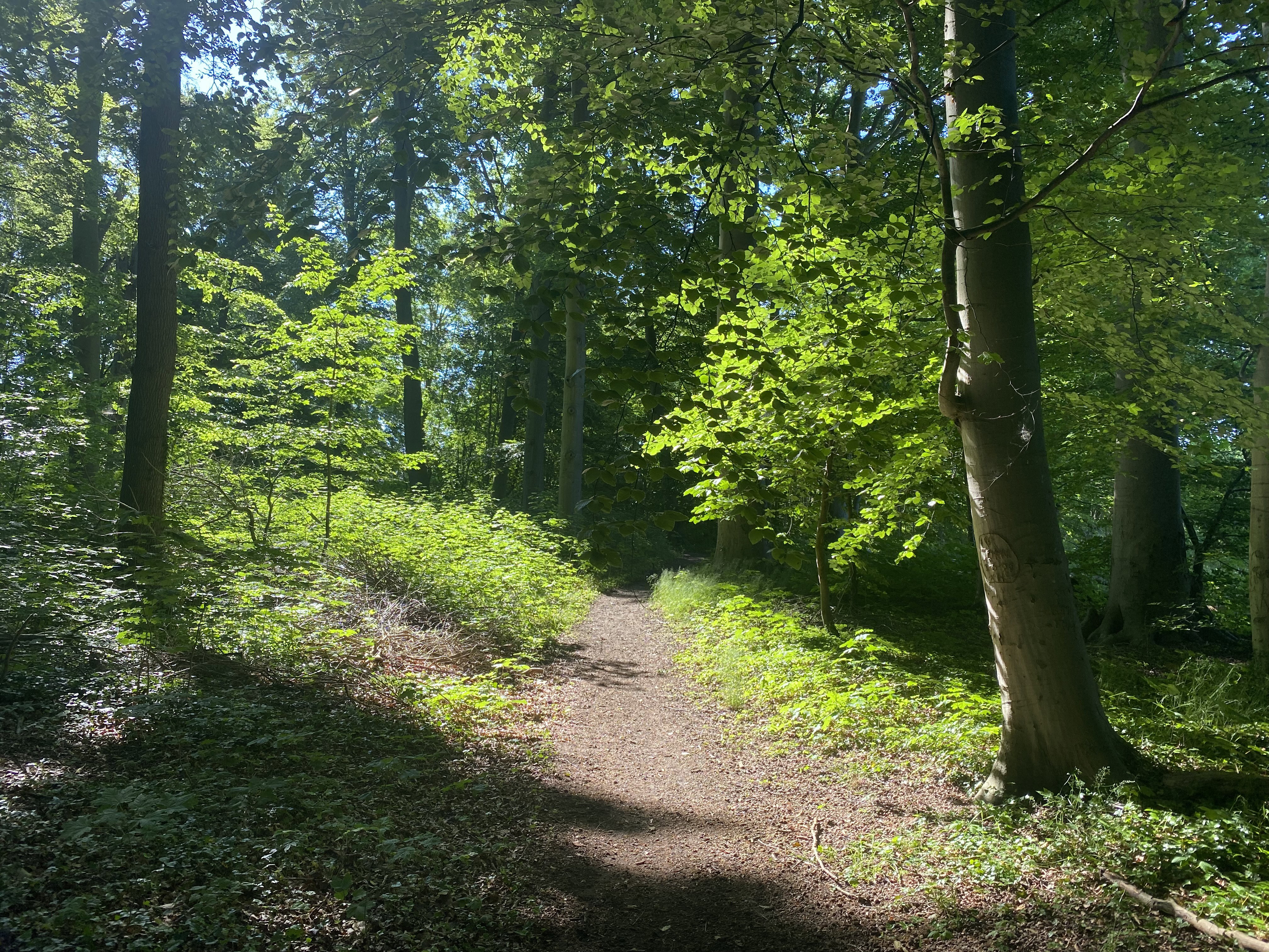 - image: 22