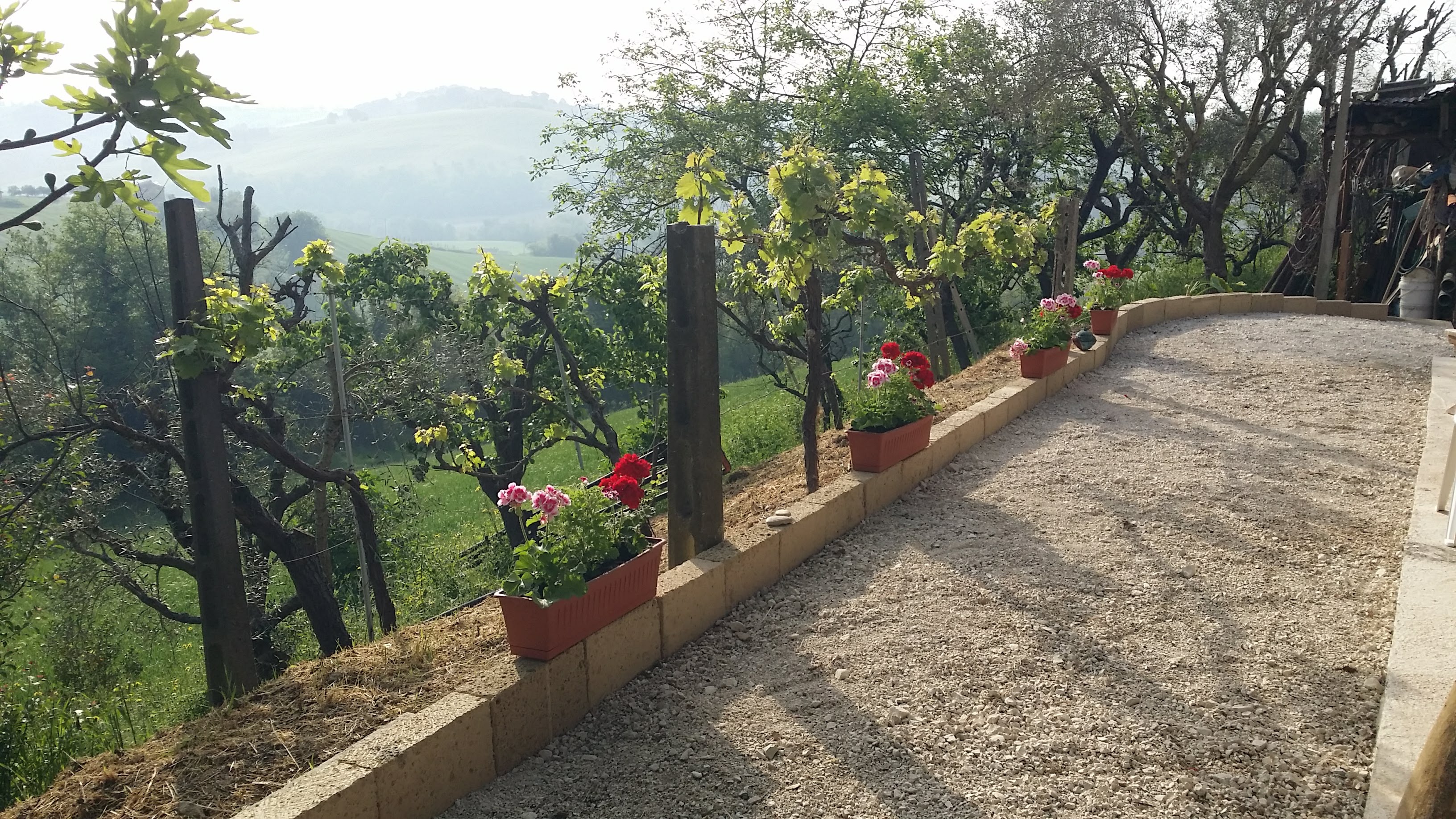 Casa nella natura a Mogliano