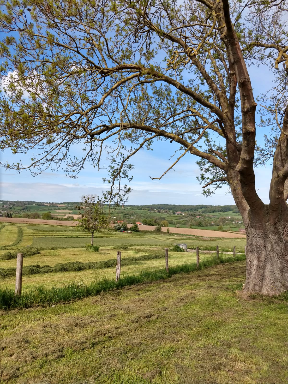 Naturhäuschen in Mechelen