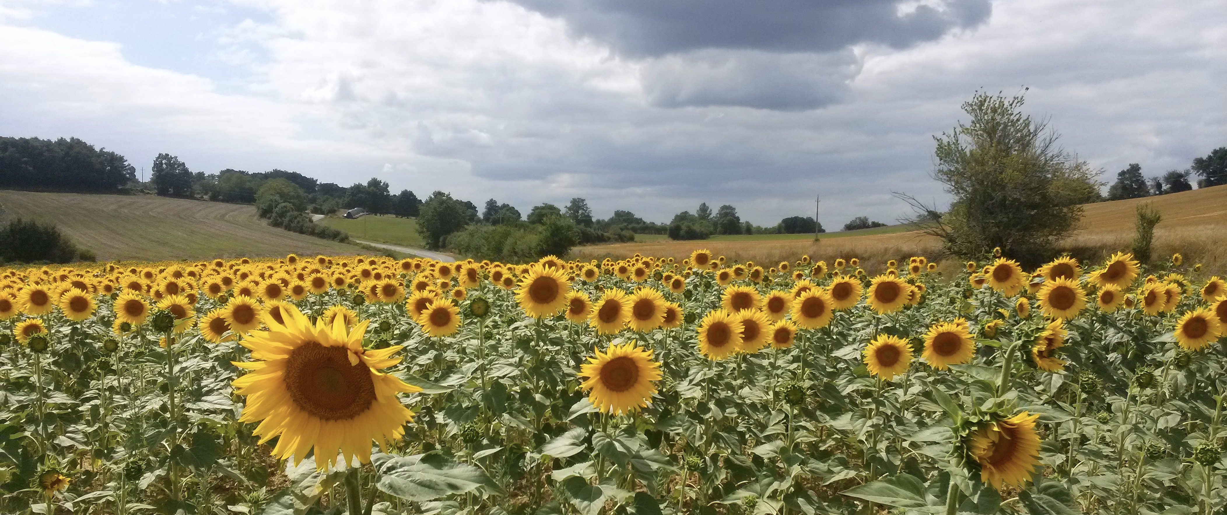 Naturhäuschen in Saman