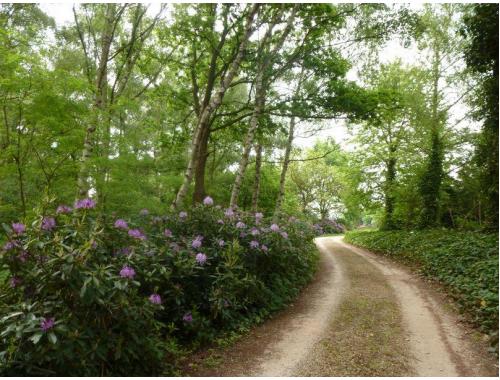 Casa nella natura a Paal