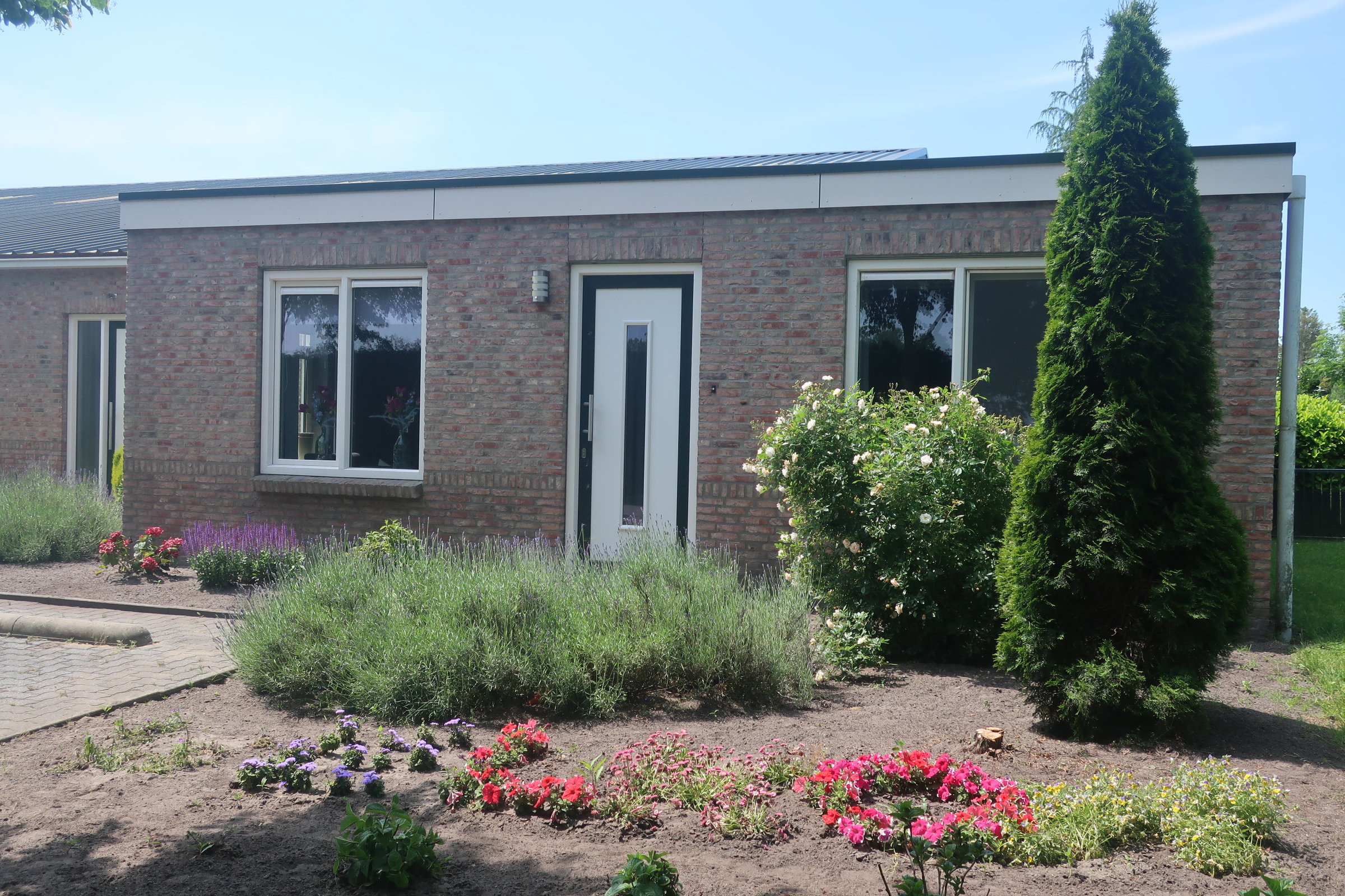 Maison nature à Zwartemeer