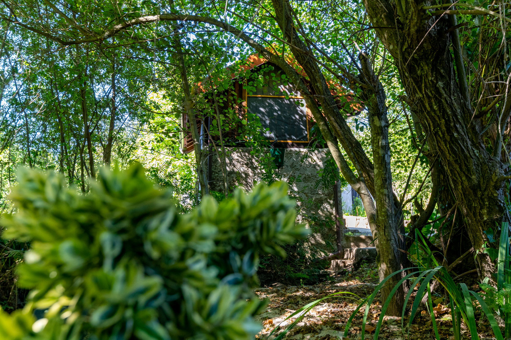 Natuurhuisje in Corgo, Celorico Basto