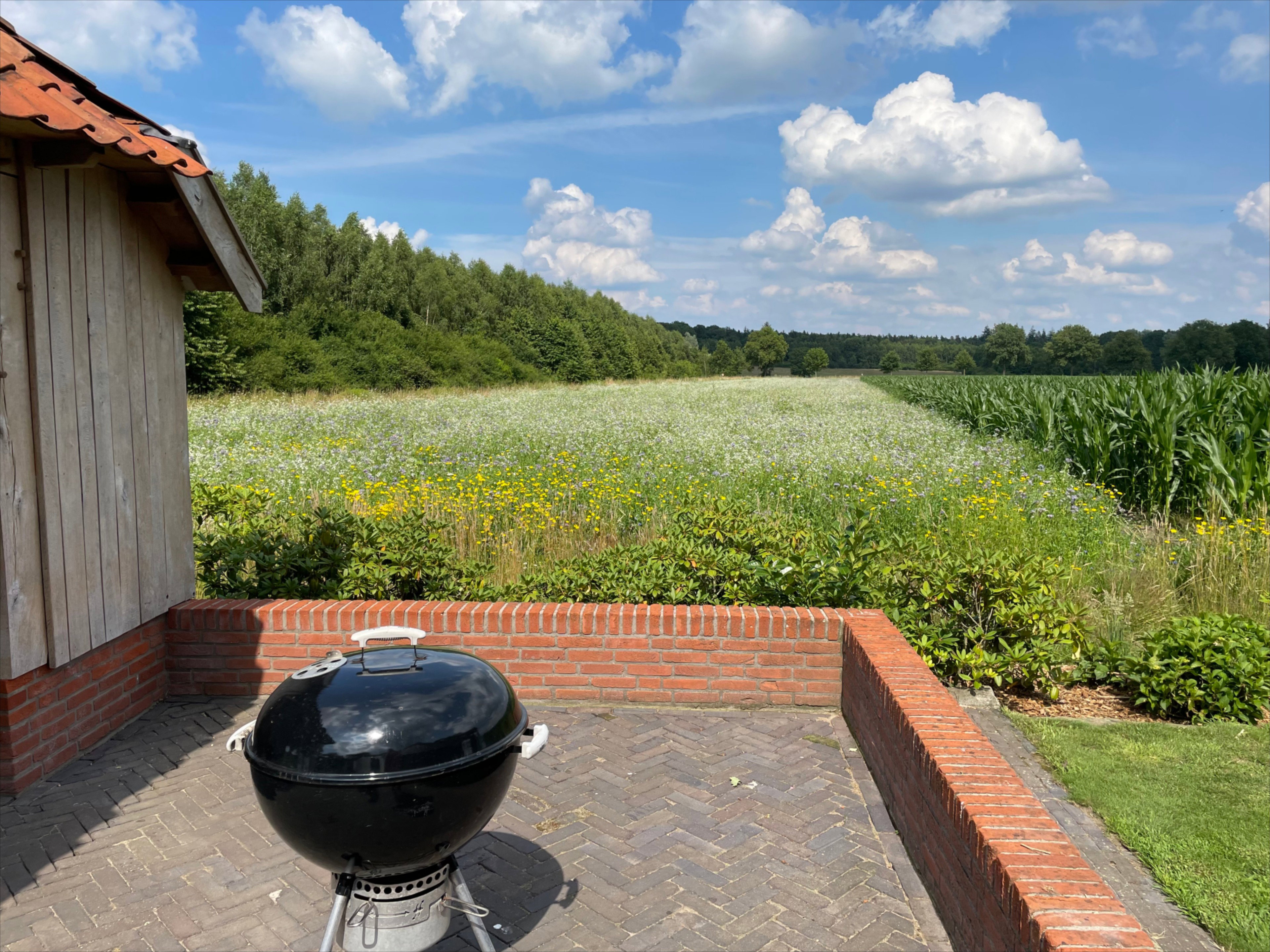 Maison nature à de Lutte